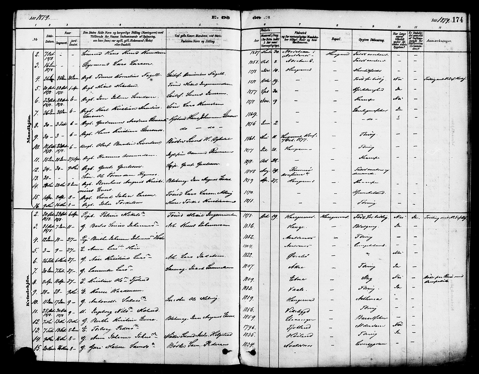 Haugesund sokneprestkontor, AV/SAST-A -101863/H/Ha/Haa/L0001: Parish register (official) no. A 1, 1878-1885, p. 174