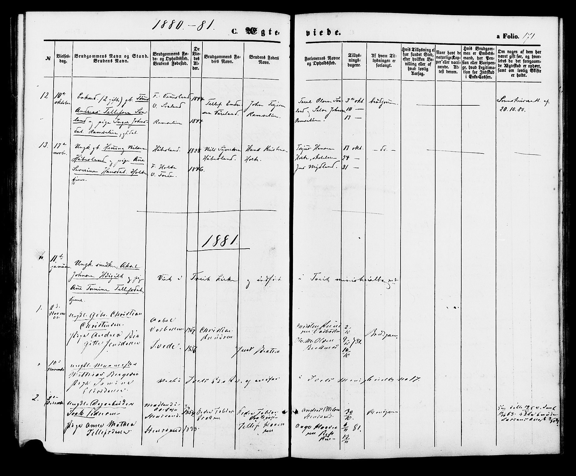 Birkenes sokneprestkontor, AV/SAK-1111-0004/F/Fa/L0004: Parish register (official) no. A 4, 1867-1886, p. 171