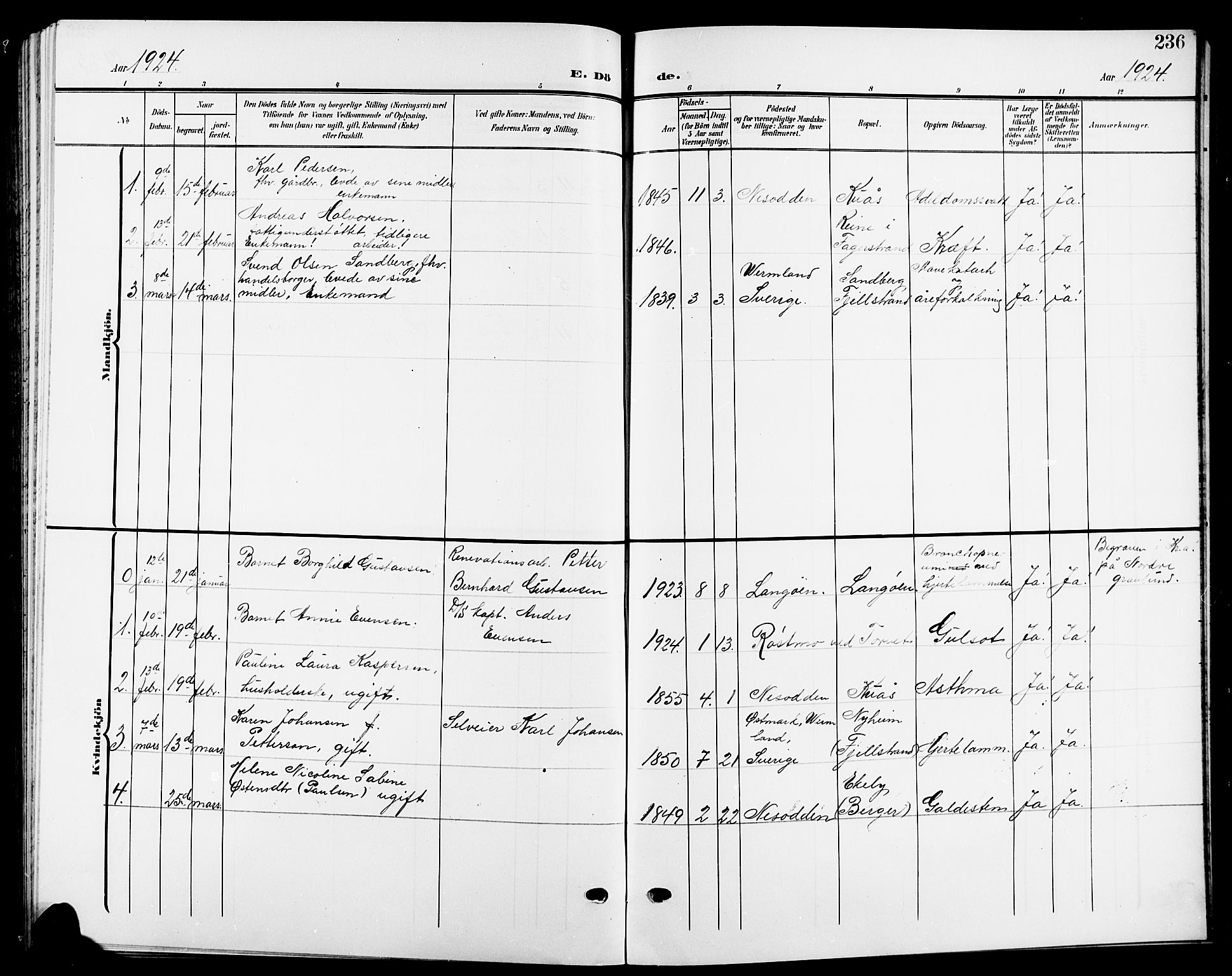 Nesodden prestekontor Kirkebøker, SAO/A-10013/G/Ga/L0002: Parish register (copy) no. I 2, 1905-1924, p. 236