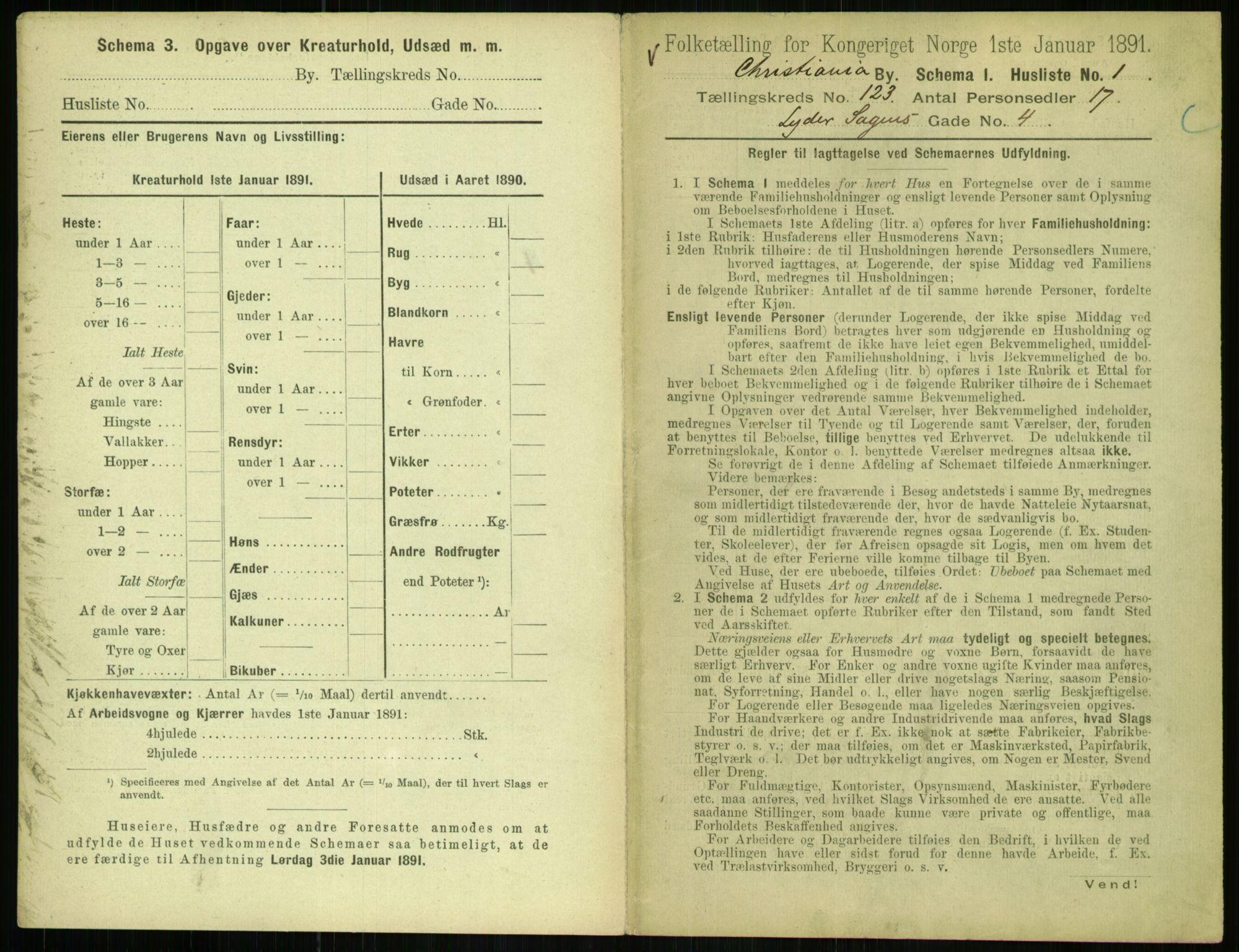 RA, 1891 census for 0301 Kristiania, 1891, p. 65087