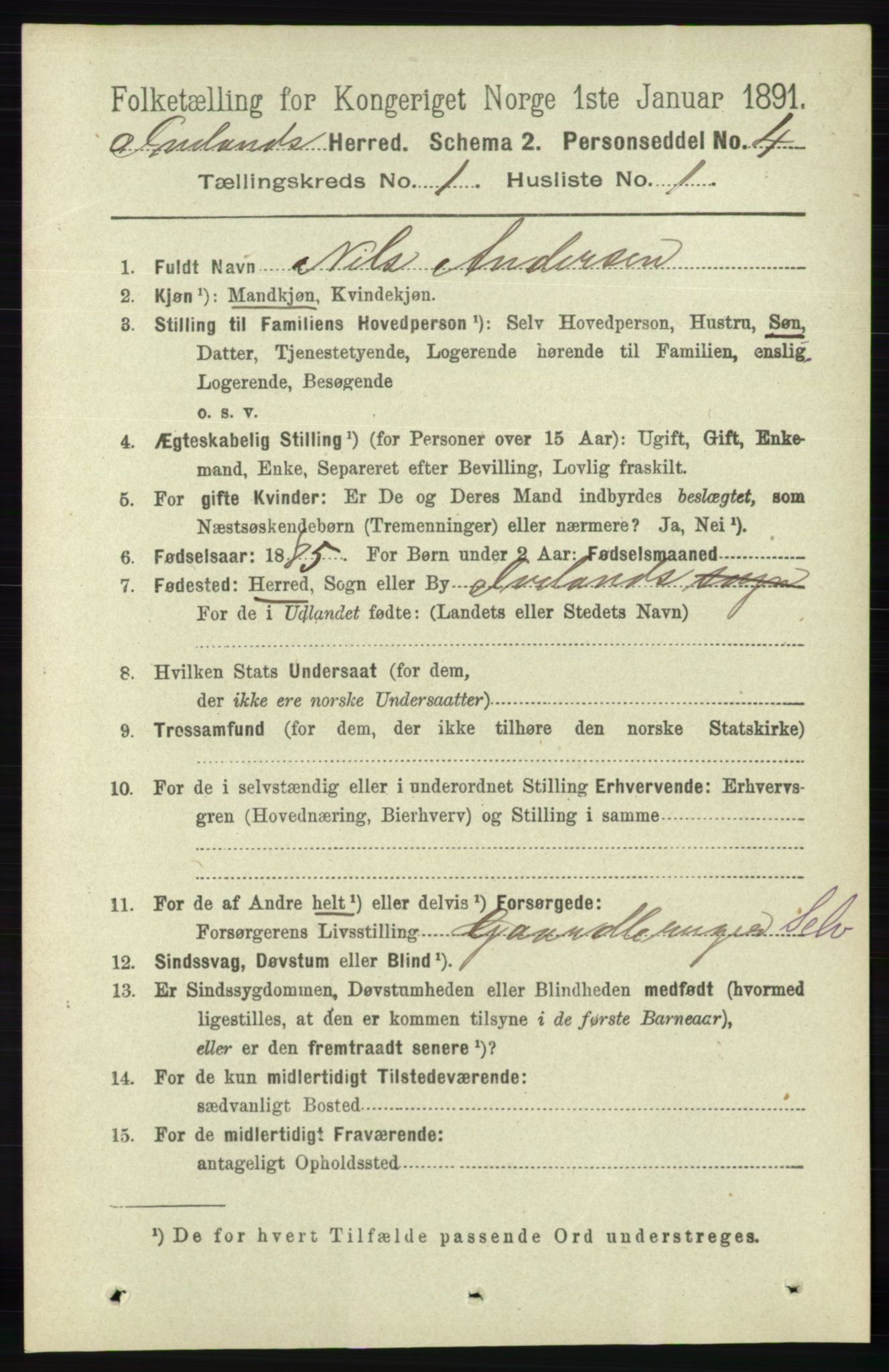 RA, 1891 census for 0935 Iveland, 1891, p. 63