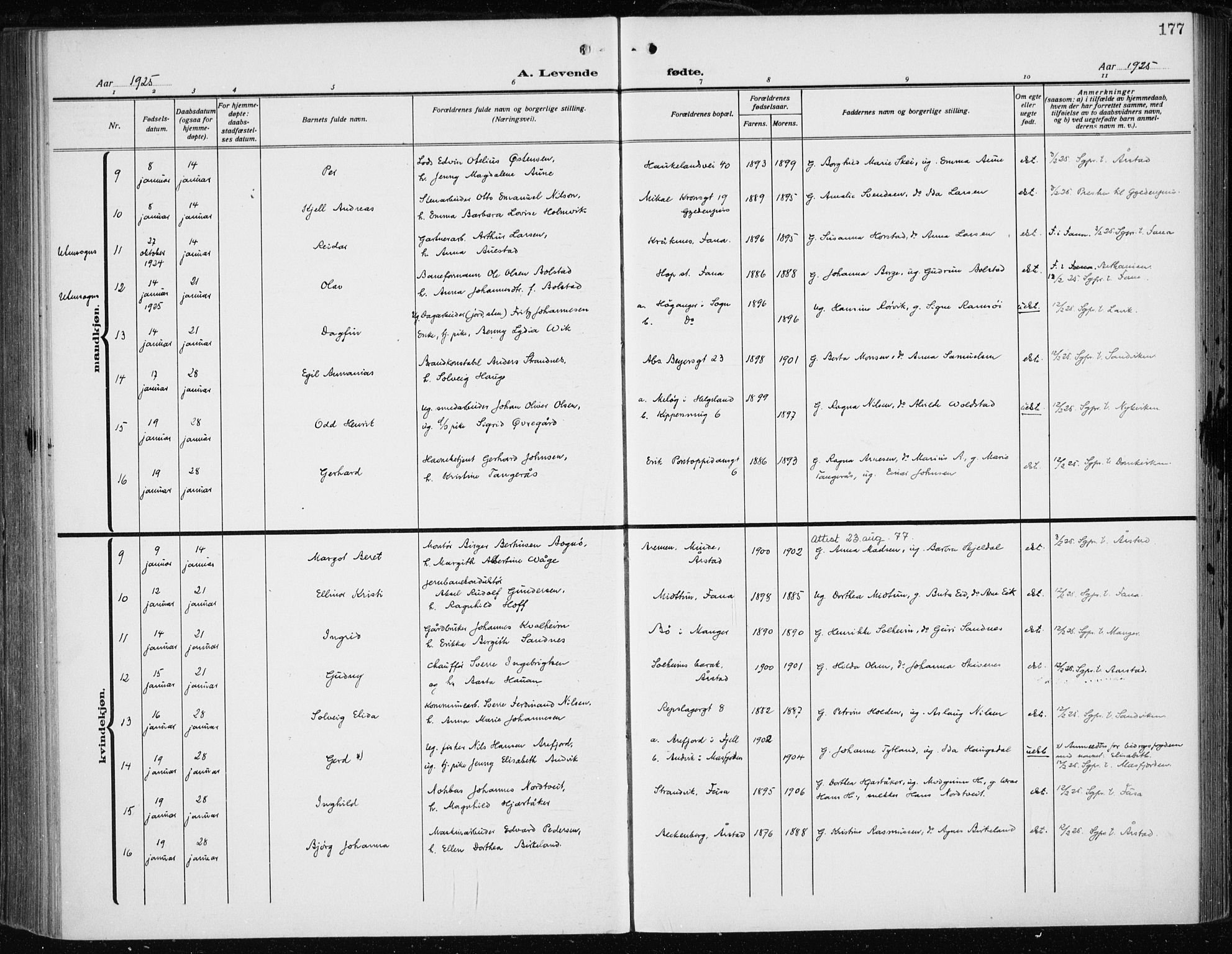 Fødselsstiftelsens sokneprestembete*, SAB/-: Parish register (official) no. A 5, 1918-1926, p. 177