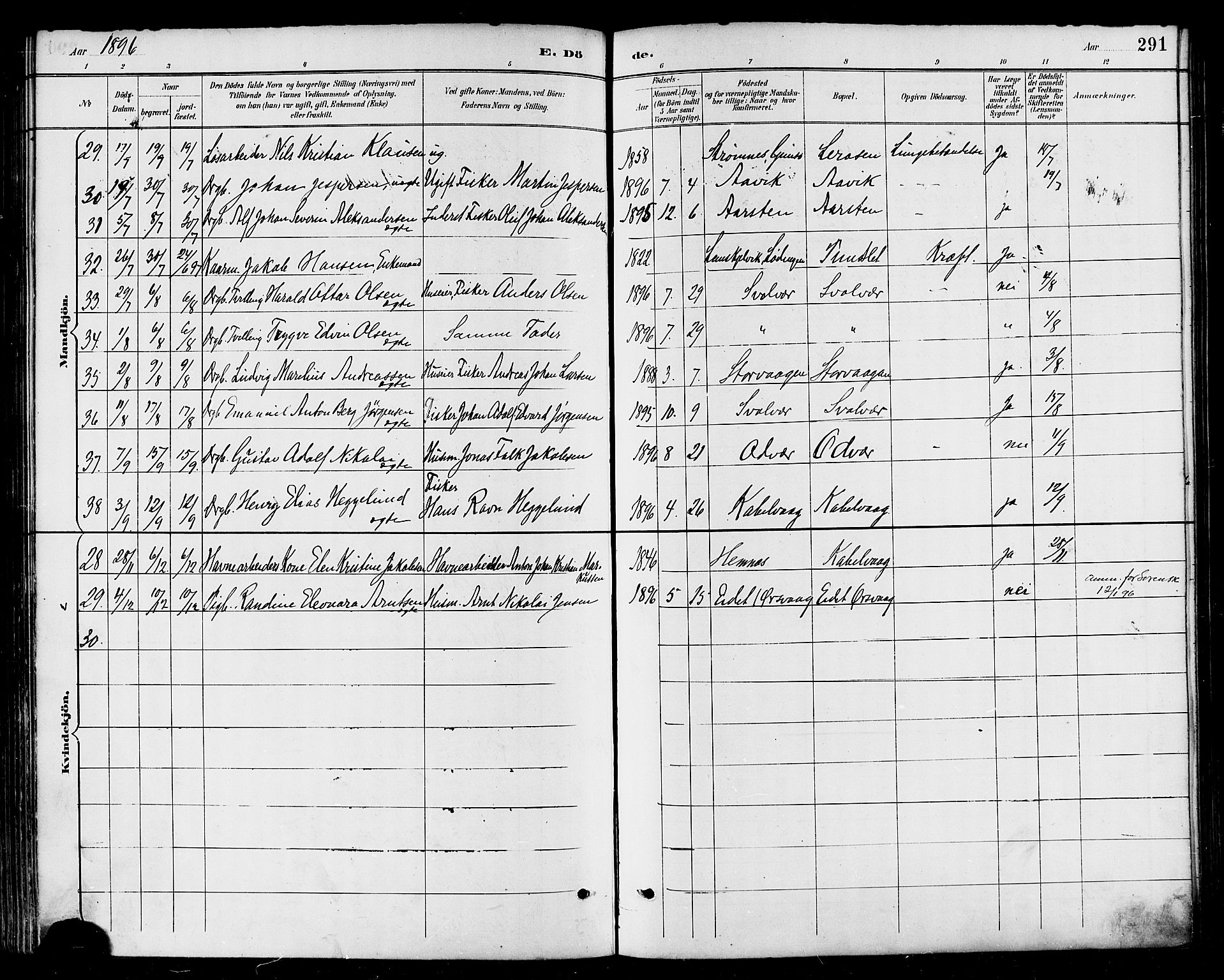 Ministerialprotokoller, klokkerbøker og fødselsregistre - Nordland, AV/SAT-A-1459/874/L1060: Parish register (official) no. 874A04, 1890-1899, p. 291