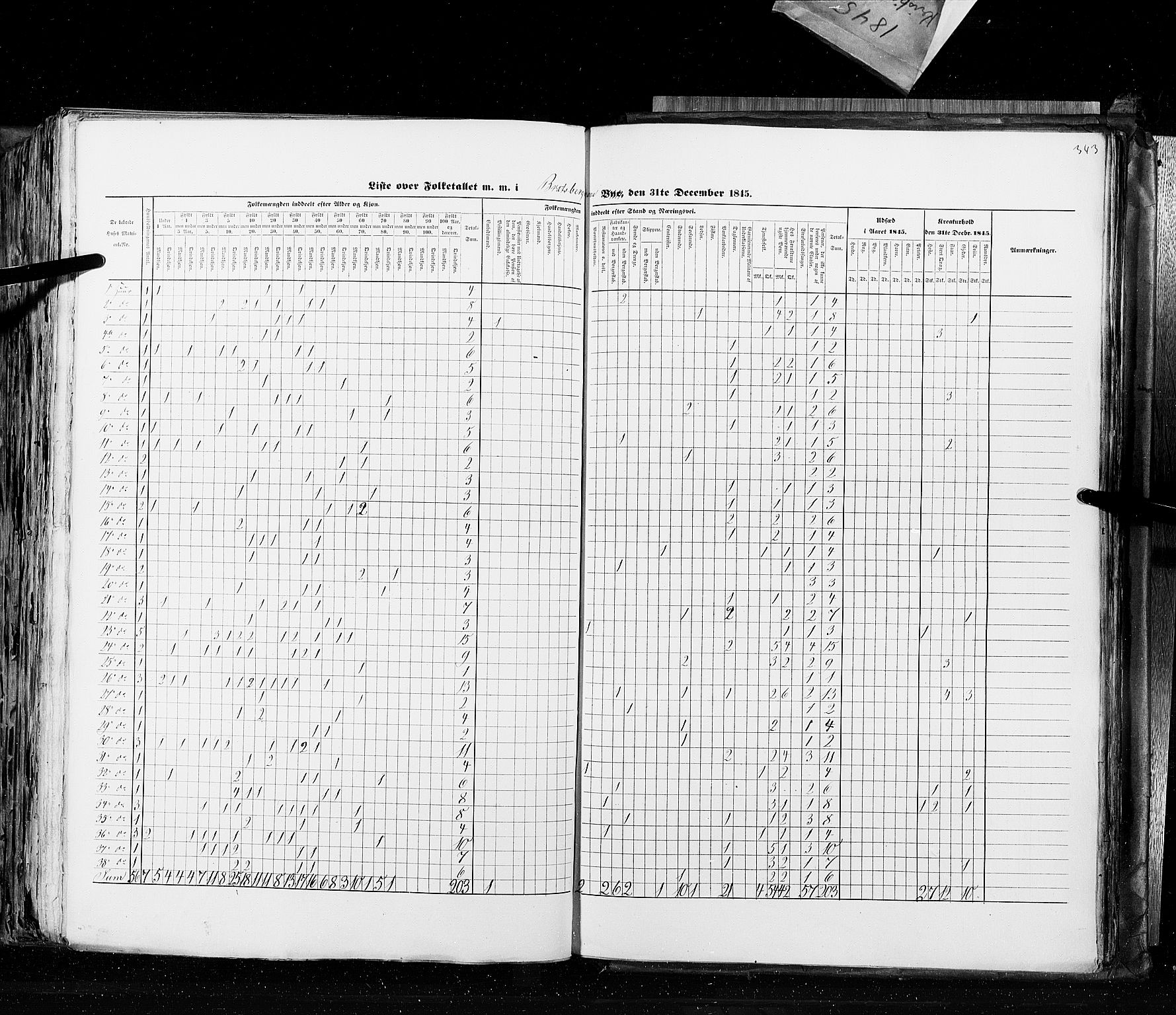 RA, Census 1845, vol. 10: Cities, 1845, p. 343