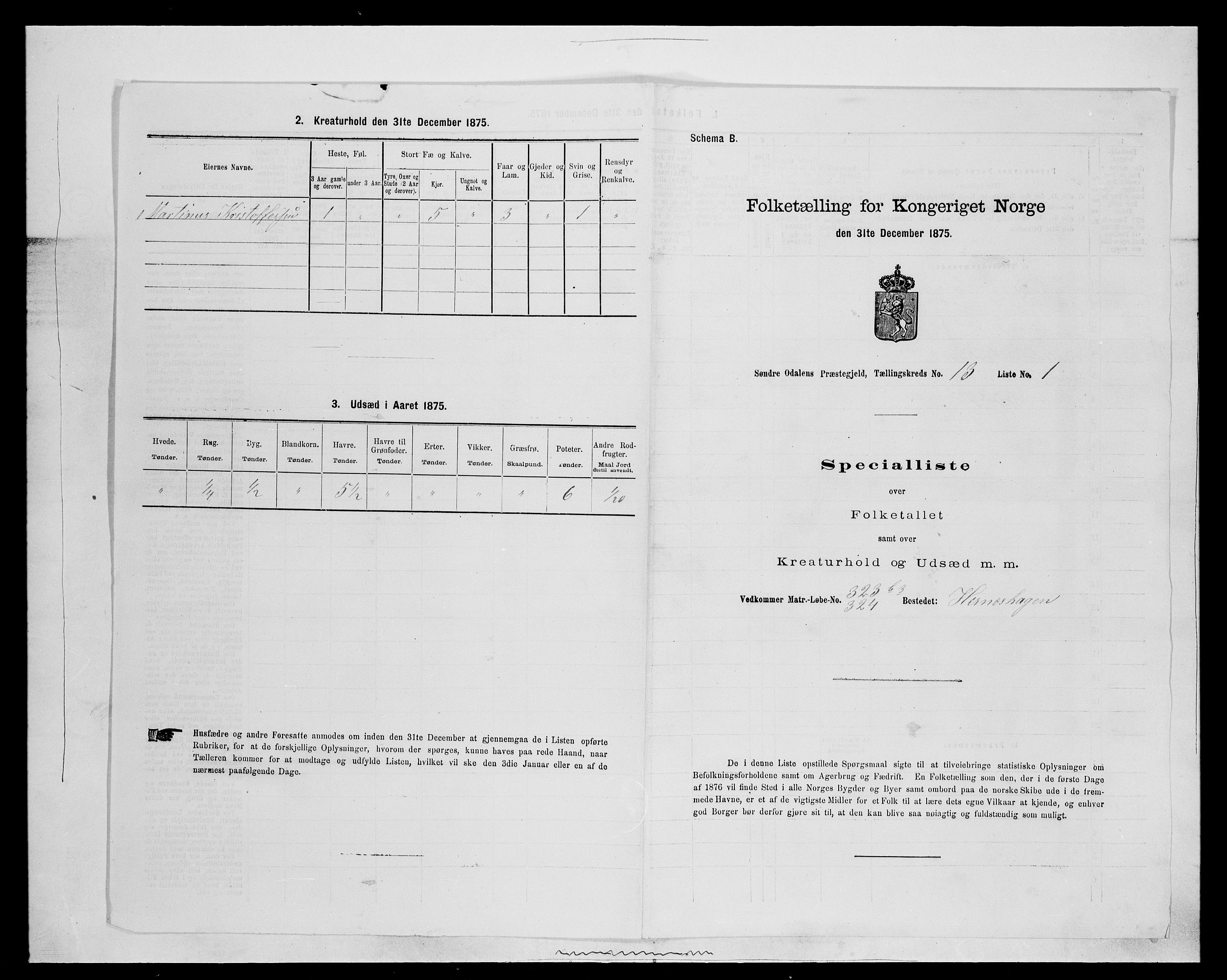 SAH, 1875 census for 0419P Sør-Odal, 1875, p. 1247