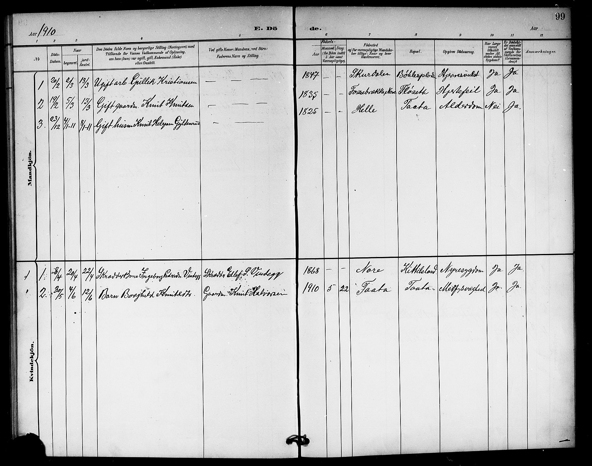 Rollag kirkebøker, SAKO/A-240/G/Gb/L0003: Parish register (copy) no. II 3, 1897-1919, p. 99