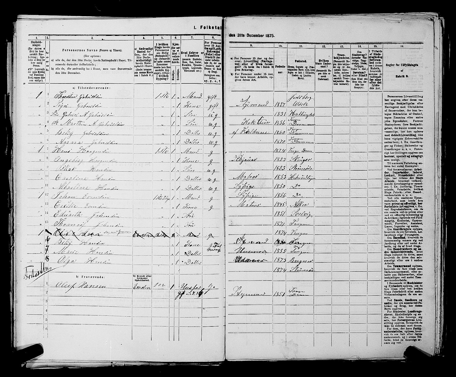 SAKO, 1875 census for 0602 Drammen, 1875, p. 3733