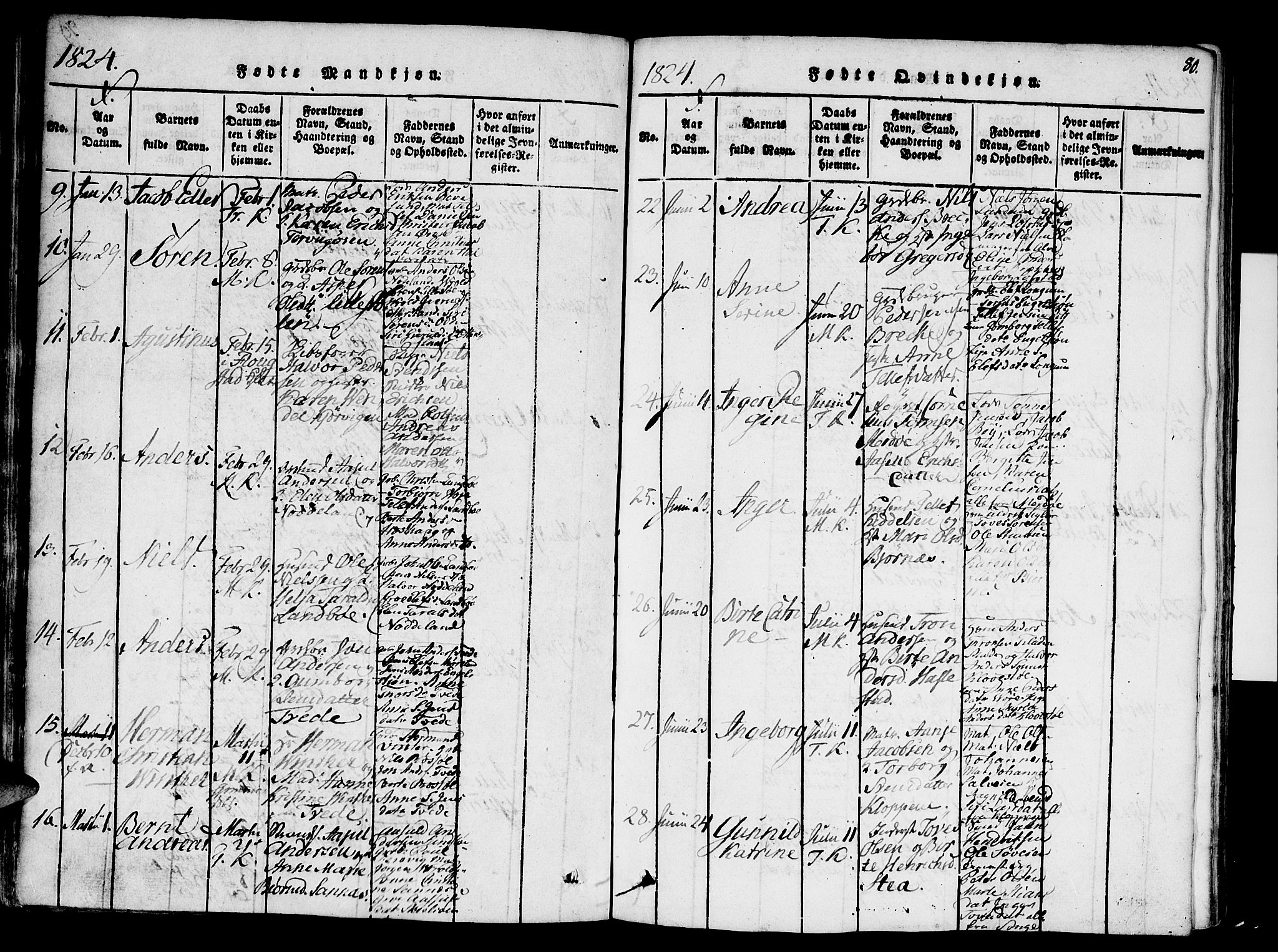 Austre Moland sokneprestkontor, AV/SAK-1111-0001/F/Fa/Faa/L0004: Parish register (official) no. A 4, 1816-1824, p. 80