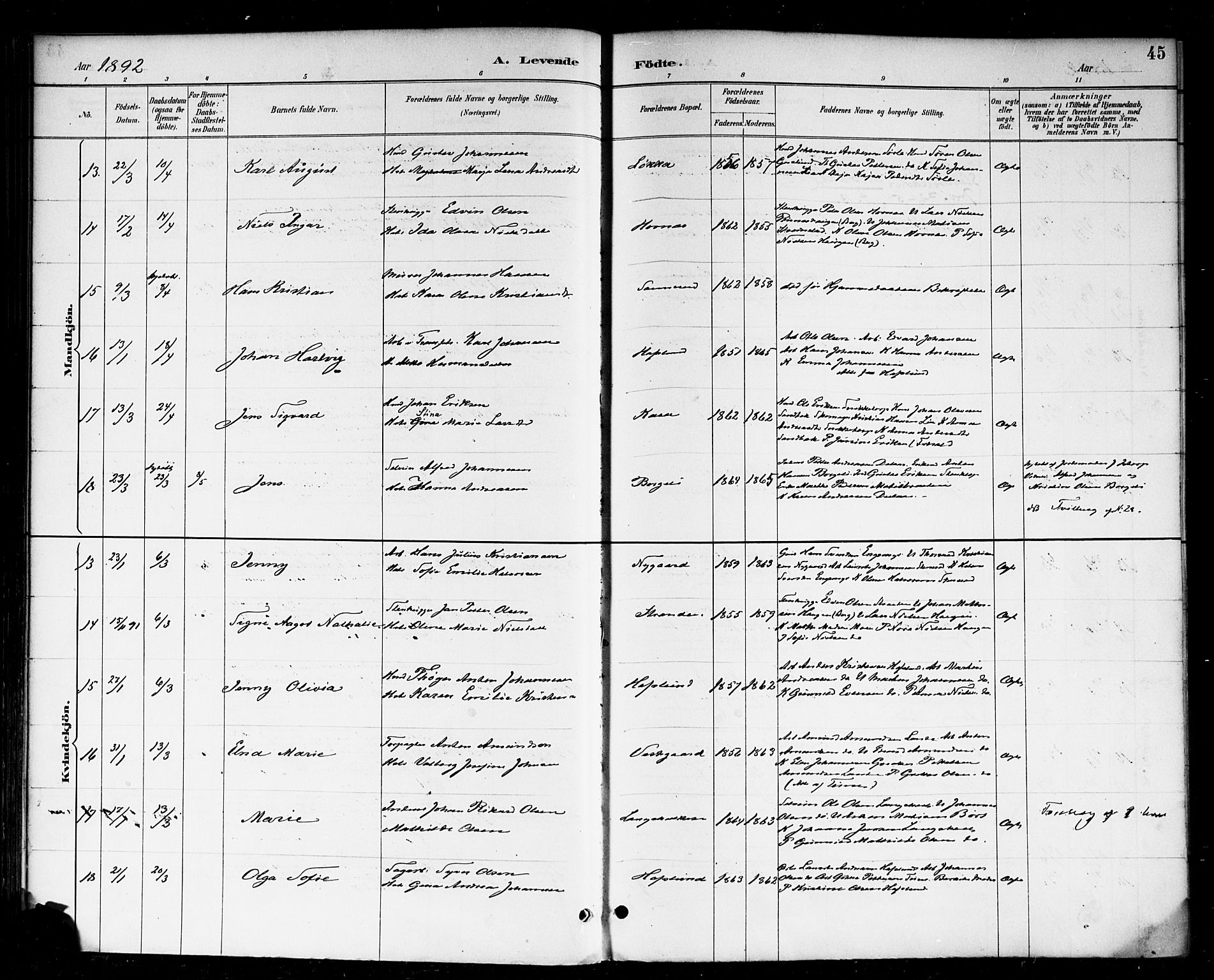 Skjeberg prestekontor Kirkebøker, AV/SAO-A-10923/F/Fa/L0009: Parish register (official) no. I 9, 1886-1897, p. 45