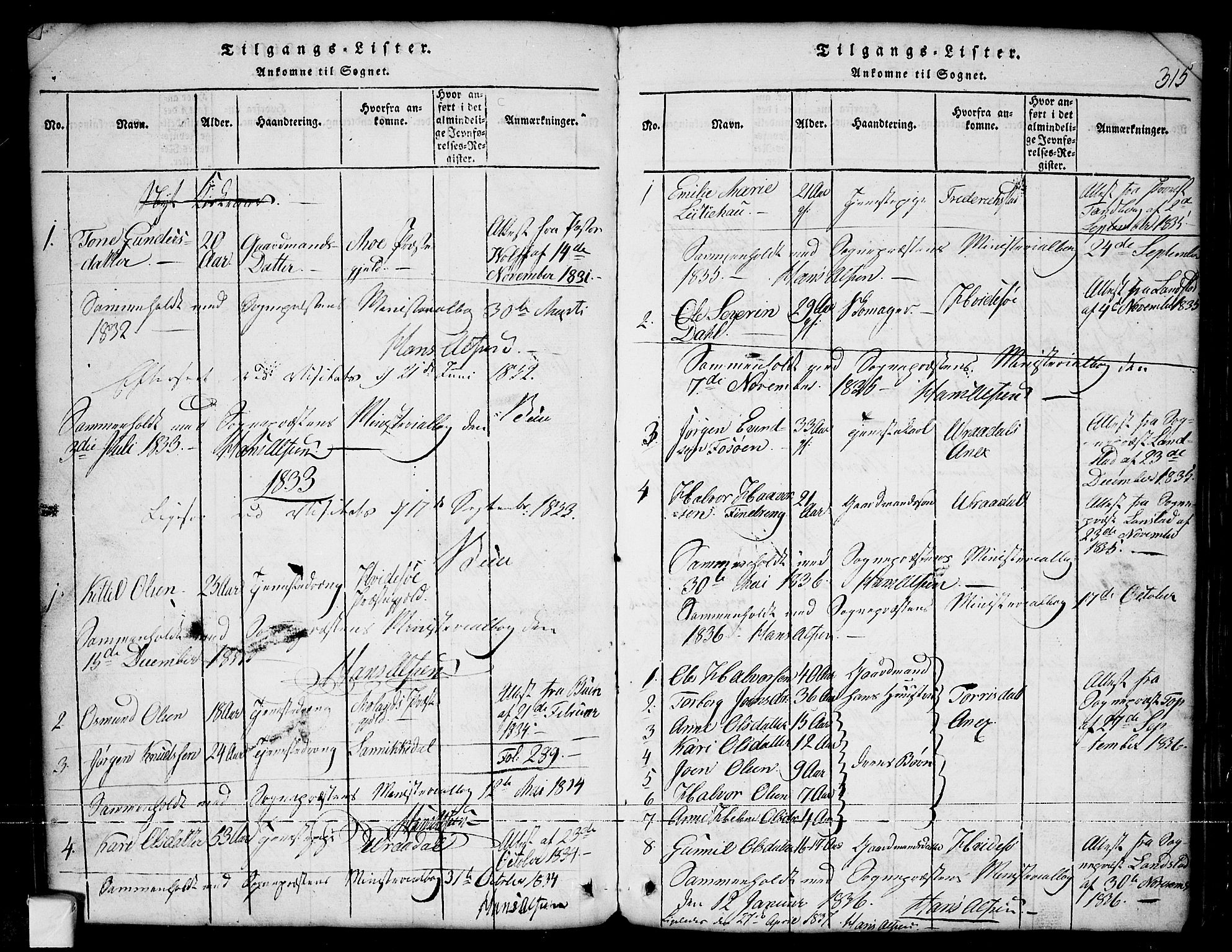 Nissedal kirkebøker, SAKO/A-288/G/Ga/L0001: Parish register (copy) no. I 1, 1814-1860, p. 315