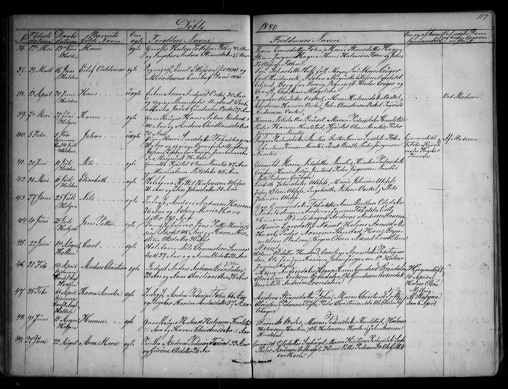 Holla kirkebøker, AV/SAKO-A-272/G/Ga/L0004: Parish register (copy) no. I 4, 1867-1890, p. 117