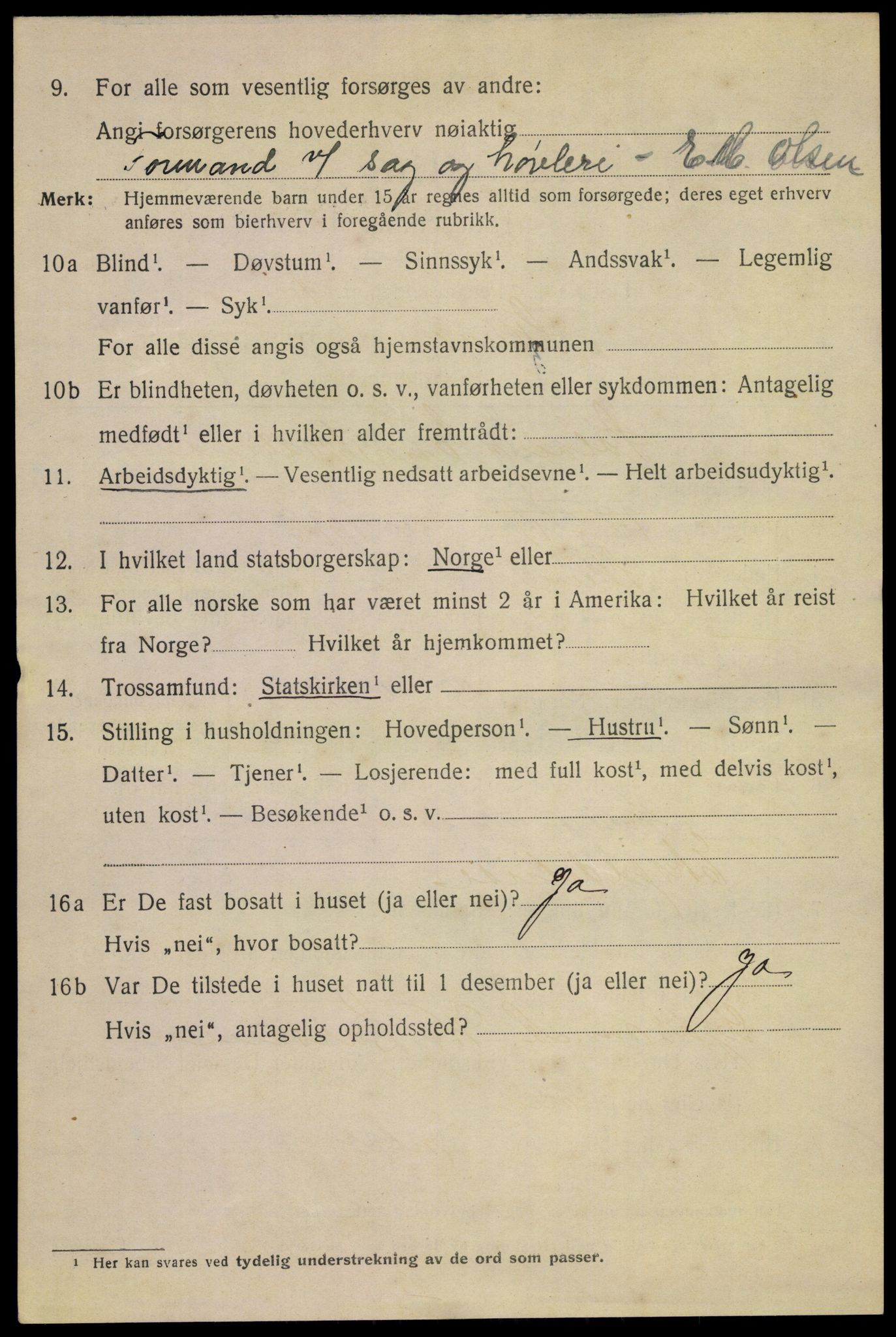 SAKO, 1920 census for Skien, 1920, p. 16843