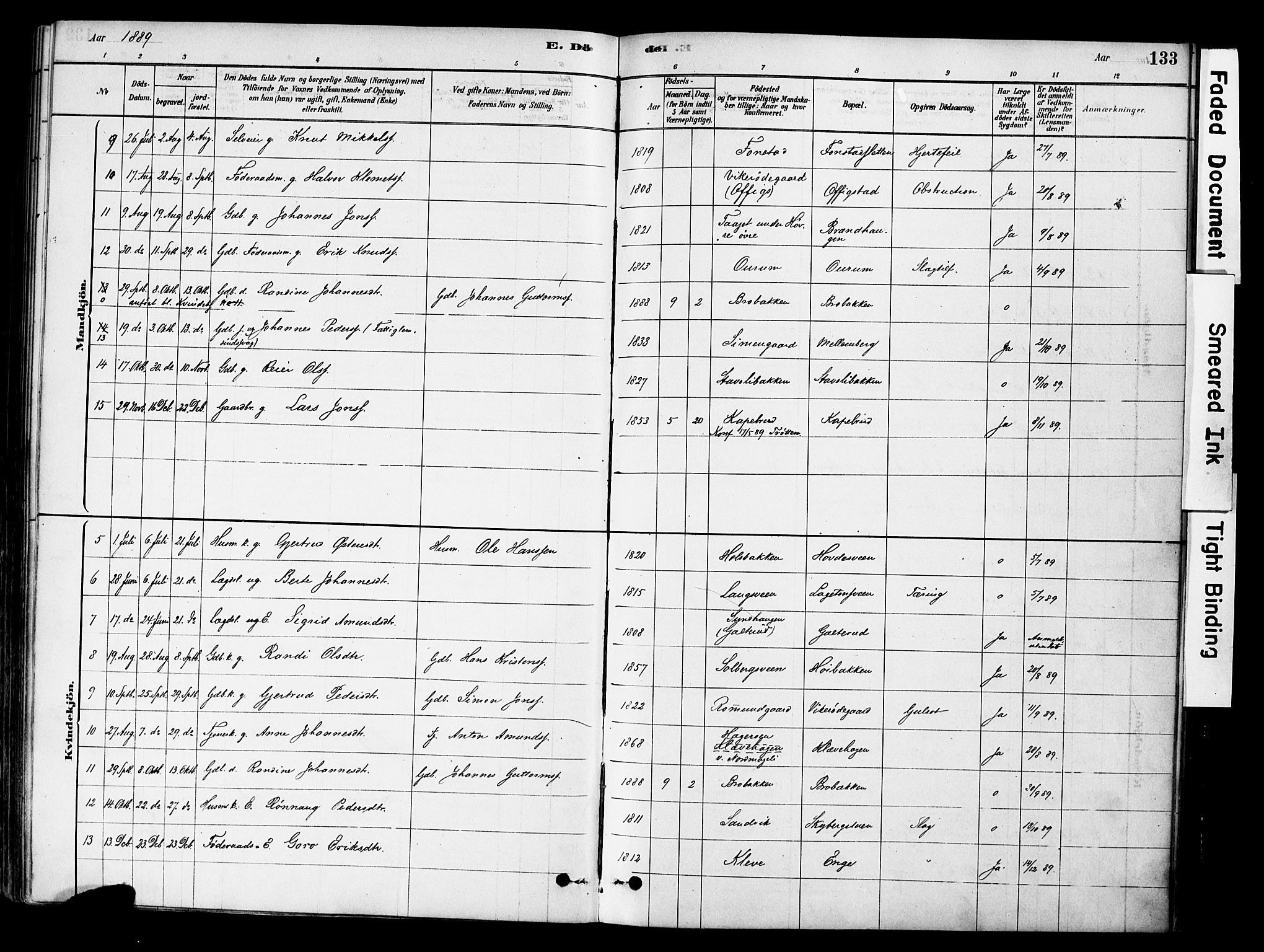 Øyer prestekontor, AV/SAH-PREST-084/H/Ha/Haa/L0009: Parish register (official) no. 9, 1878-1893, p. 133