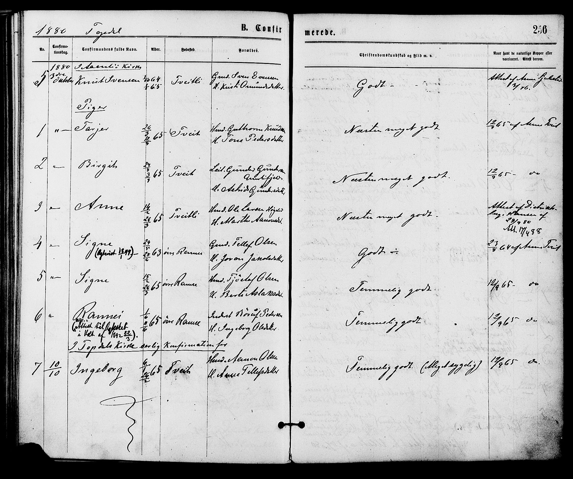 Åmli sokneprestkontor, SAK/1111-0050/F/Fa/Fac/L0009: Parish register (official) no. A 9 /3, 1869-1884, p. 256