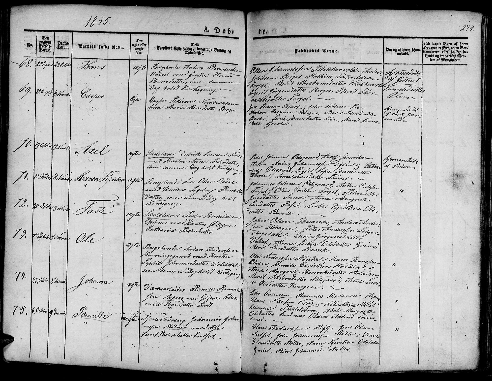 Ministerialprotokoller, klokkerbøker og fødselsregistre - Sør-Trøndelag, SAT/A-1456/681/L0938: Parish register (copy) no. 681C02, 1829-1879, p. 274