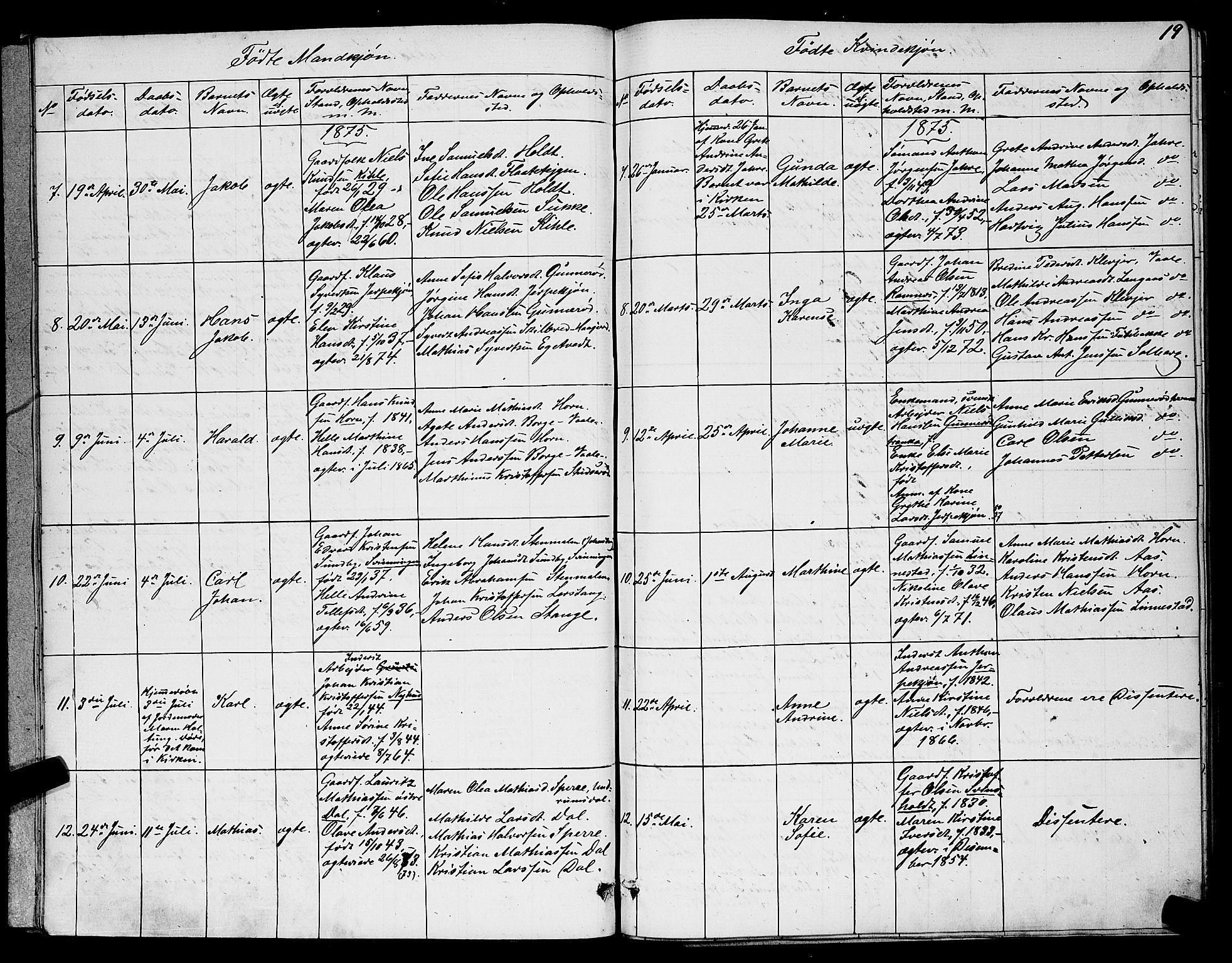 Ramnes kirkebøker, SAKO/A-314/G/Ga/L0003: Parish register (copy) no. I 3, 1870-1896, p. 19