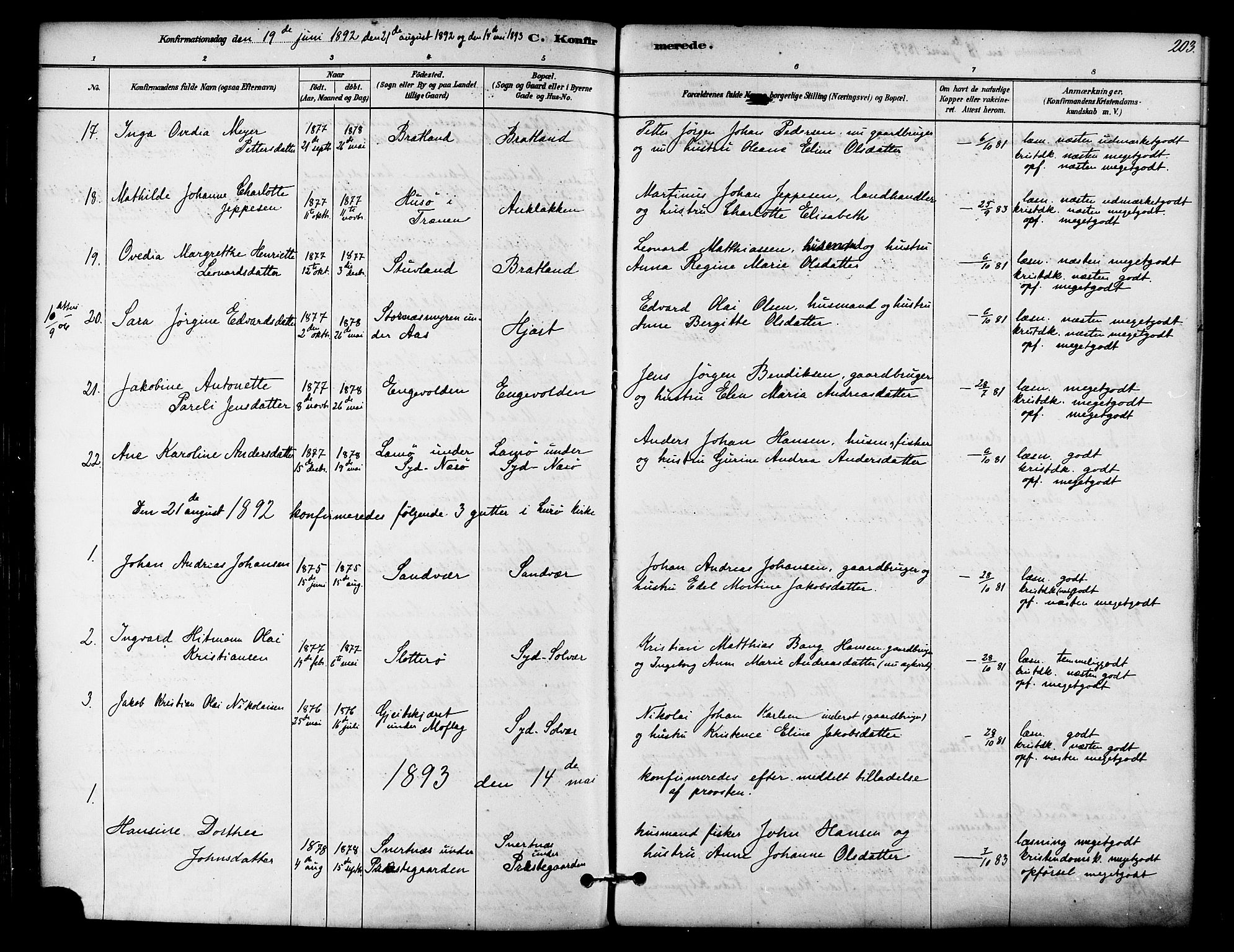 Ministerialprotokoller, klokkerbøker og fødselsregistre - Nordland, SAT/A-1459/839/L0568: Parish register (official) no. 839A05, 1880-1902, p. 203