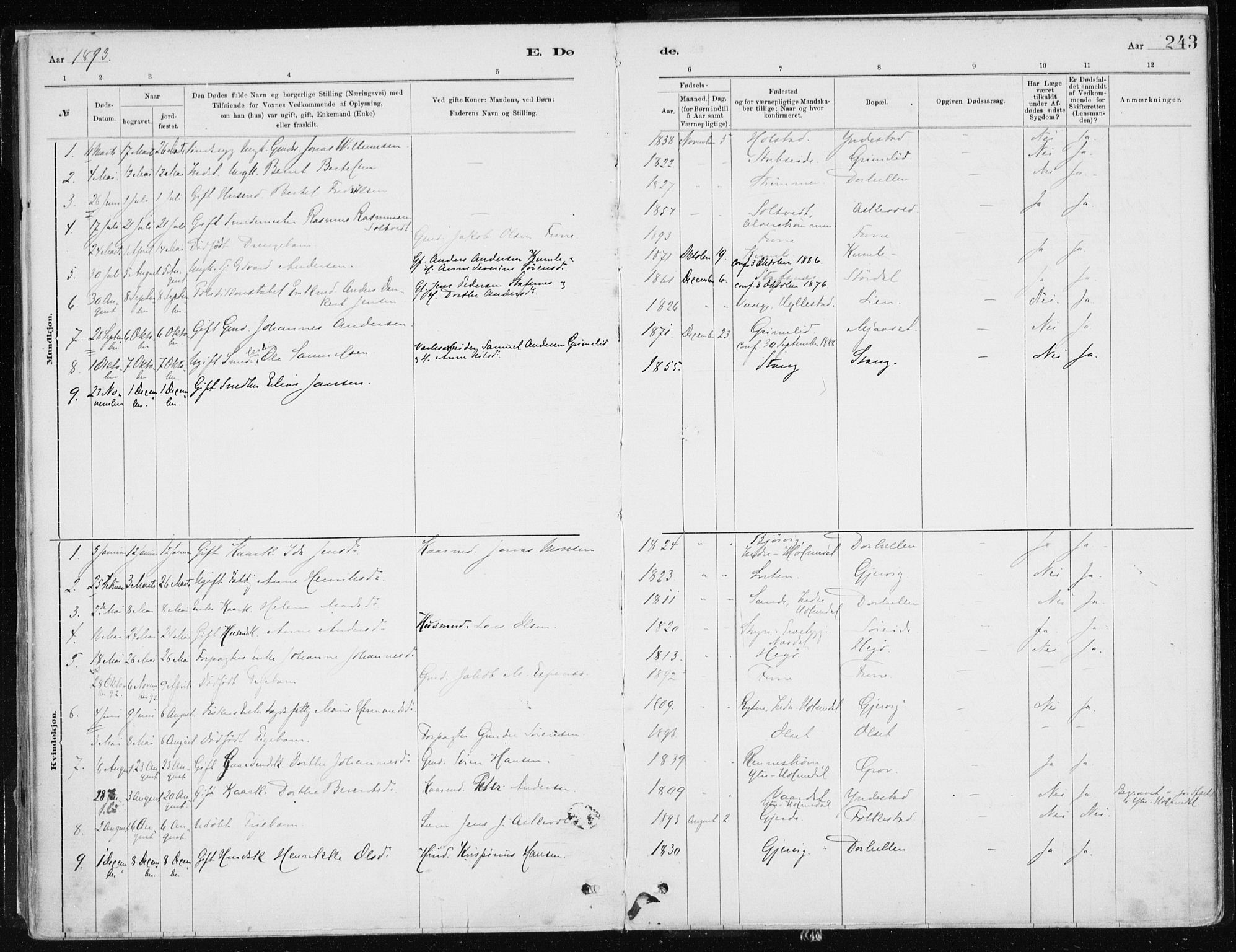 Askvoll sokneprestembete, SAB/A-79501/H/Haa/Haab/L0002: Parish register (official) no. B 2, 1879-1909, p. 243