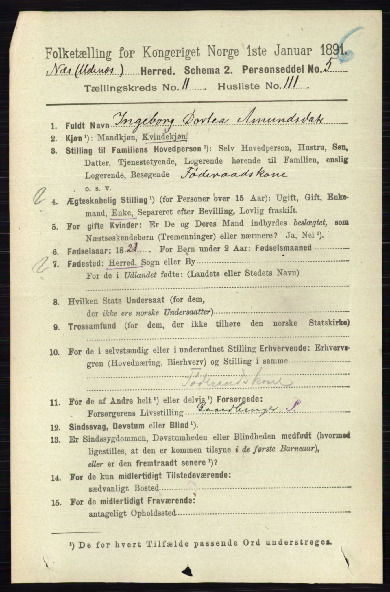 RA, 1891 census for 0236 Nes, 1891, p. 7004