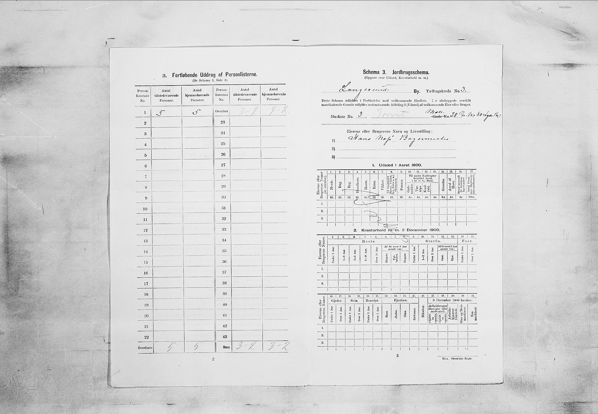 SAKO, 1900 census for Langesund, 1900, p. 812