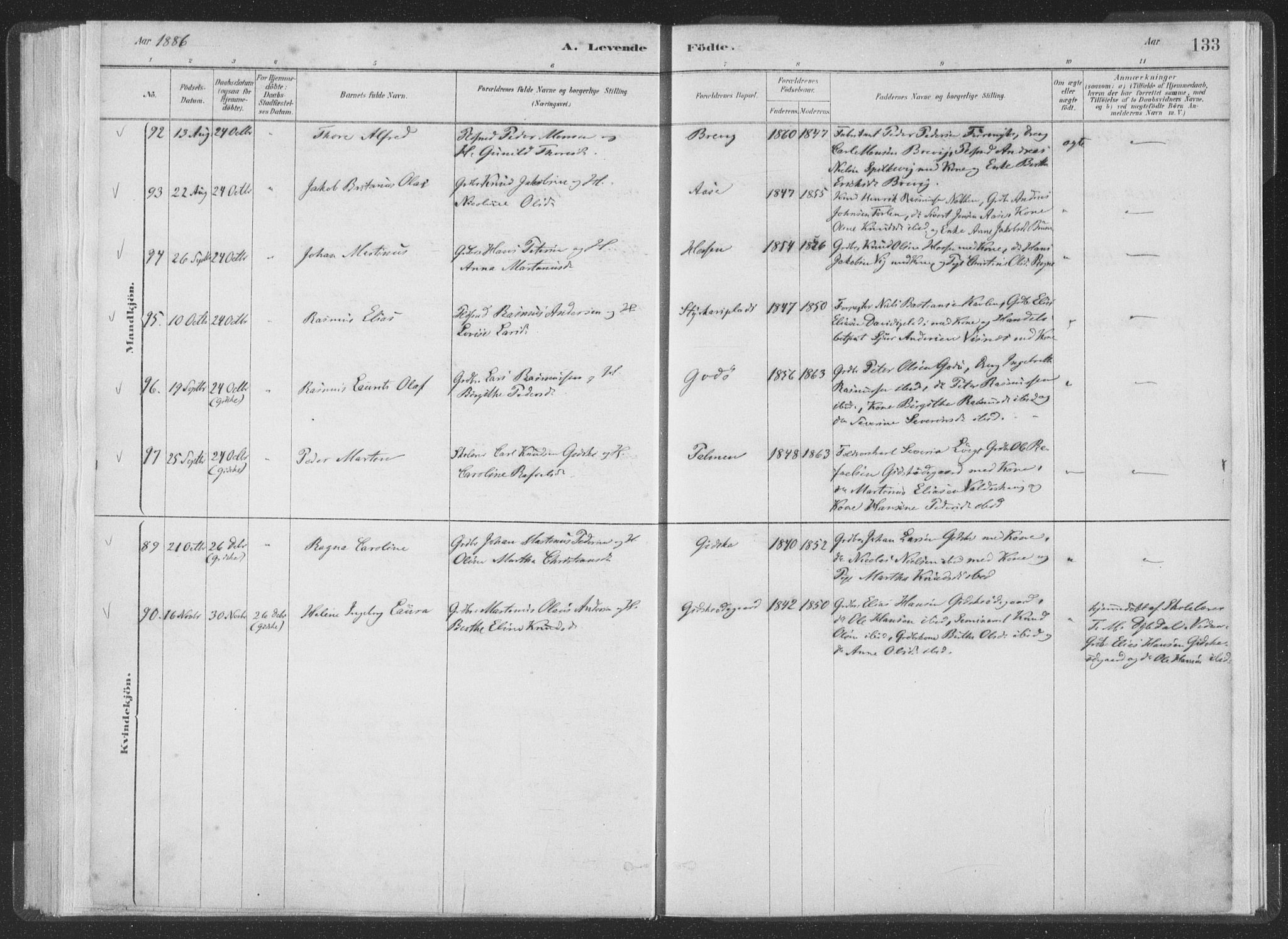 Ministerialprotokoller, klokkerbøker og fødselsregistre - Møre og Romsdal, AV/SAT-A-1454/528/L0401: Parish register (official) no. 528A12I, 1880-1920, p. 133