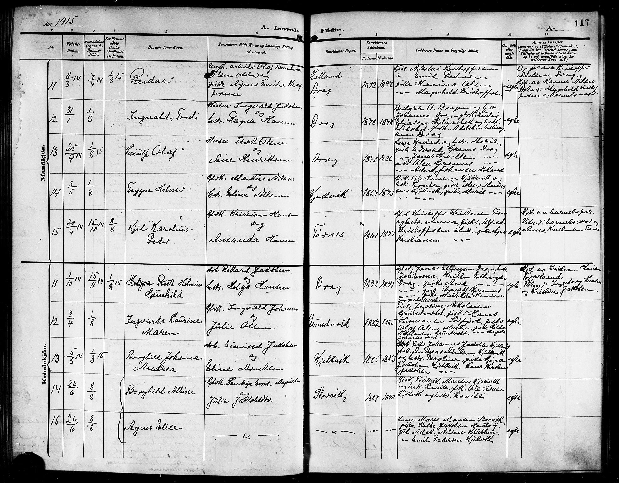 Ministerialprotokoller, klokkerbøker og fødselsregistre - Nordland, AV/SAT-A-1459/861/L0877: Parish register (copy) no. 861C03, 1903-1919, p. 117
