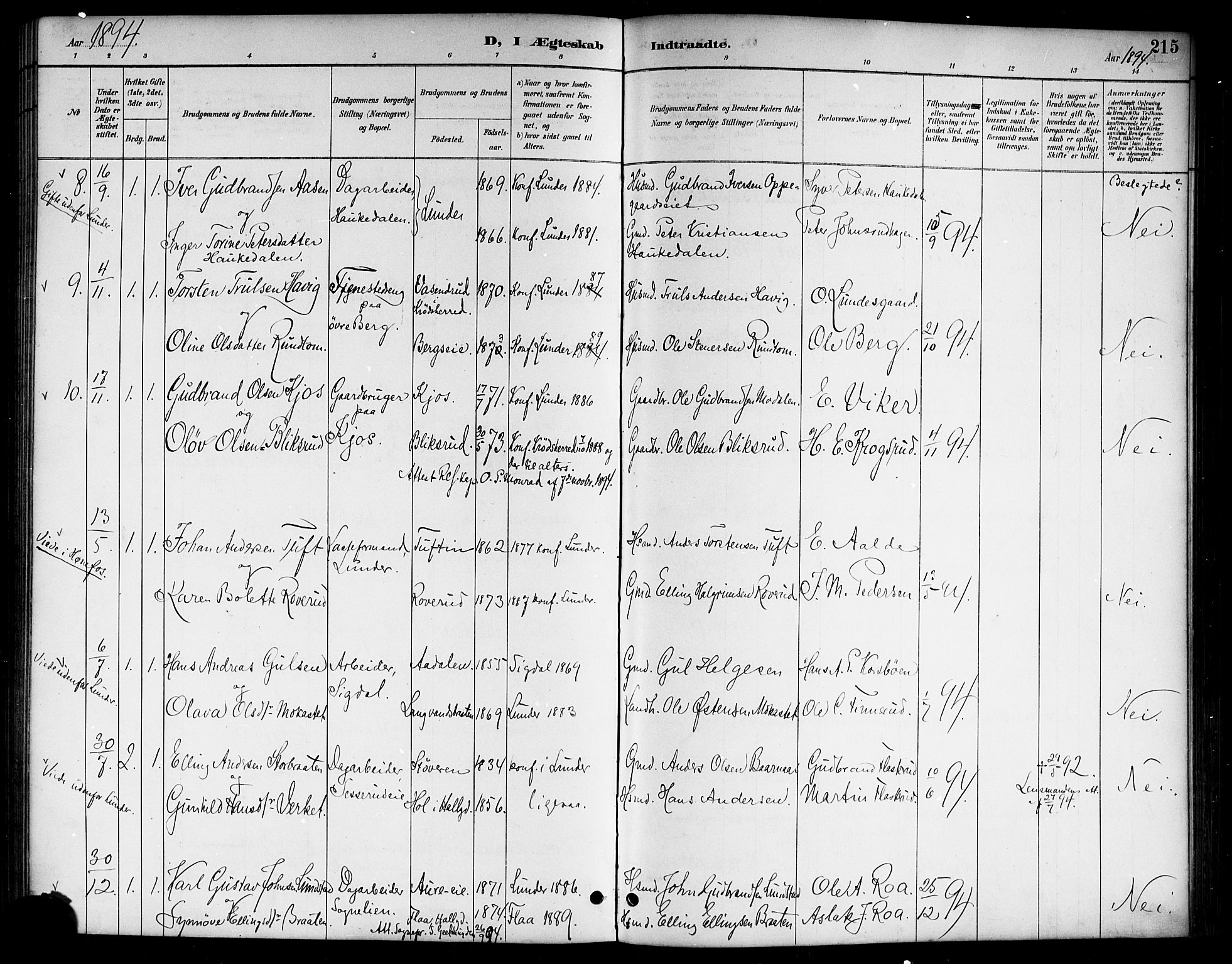 Lunder kirkebøker, AV/SAKO-A-629/G/Ga/L0004: Parish register (copy) no. I 4, 1889-1917, p. 215