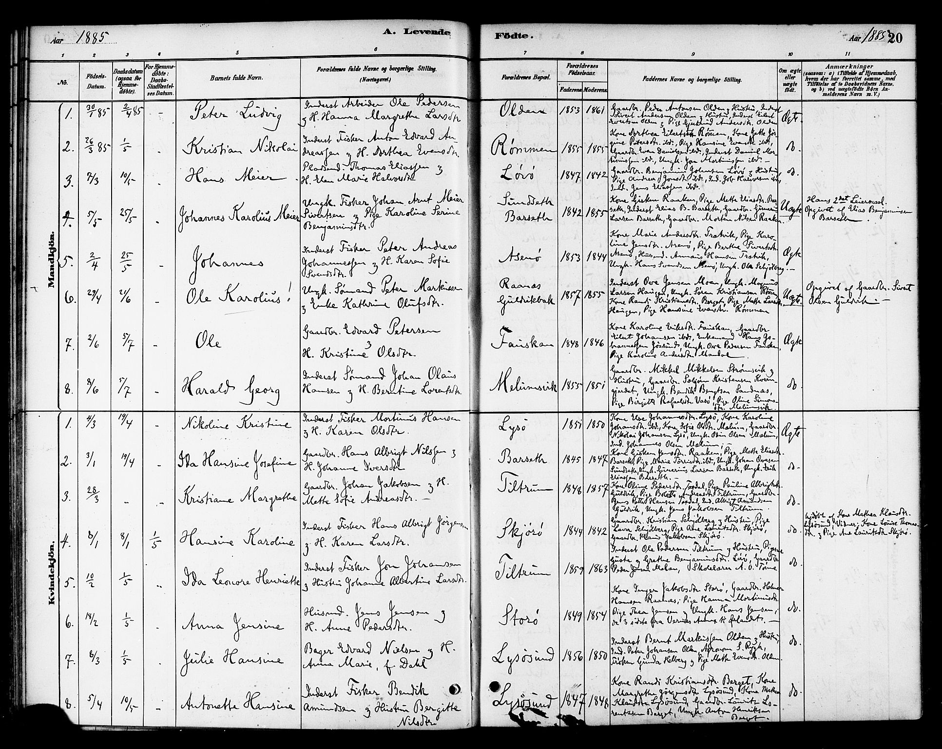 Ministerialprotokoller, klokkerbøker og fødselsregistre - Sør-Trøndelag, SAT/A-1456/654/L0663: Parish register (official) no. 654A01, 1880-1894, p. 20