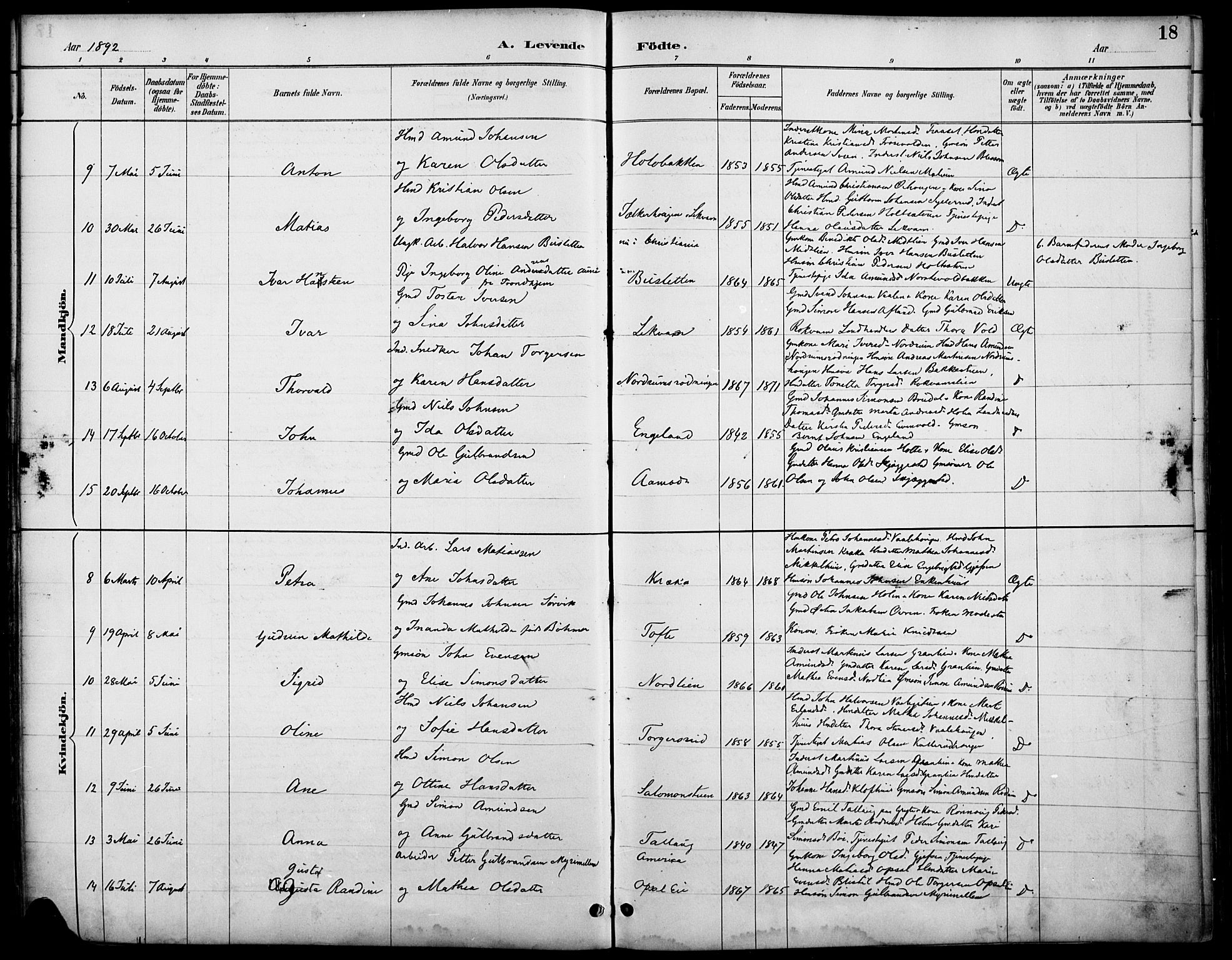 Østre Gausdal prestekontor, SAH/PREST-092/H/Ha/Haa/L0002: Parish register (official) no. 2, 1887-1897, p. 18