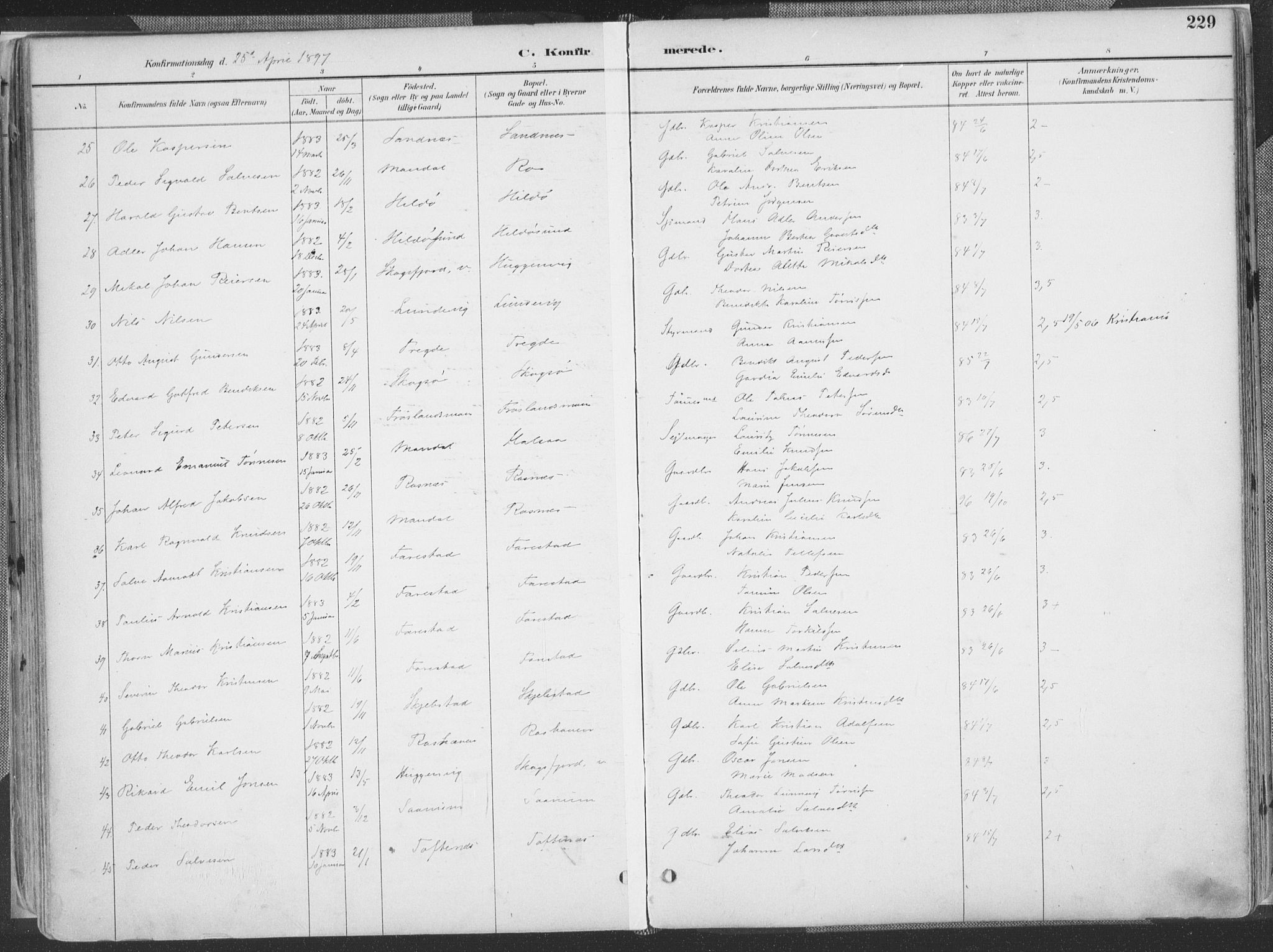 Mandal sokneprestkontor, AV/SAK-1111-0030/F/Fa/Faa/L0018: Parish register (official) no. A 18, 1890-1905, p. 229