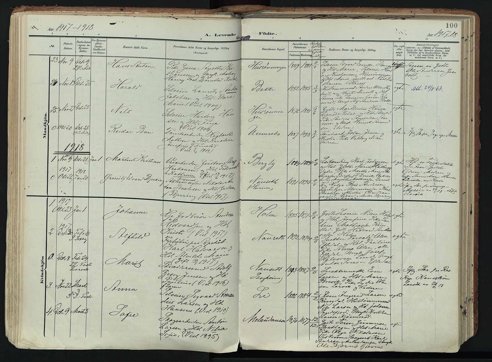 Hedrum kirkebøker, SAKO/A-344/F/Fa/L0010: Parish register (official) no. I 10, 1904-1918, p. 100