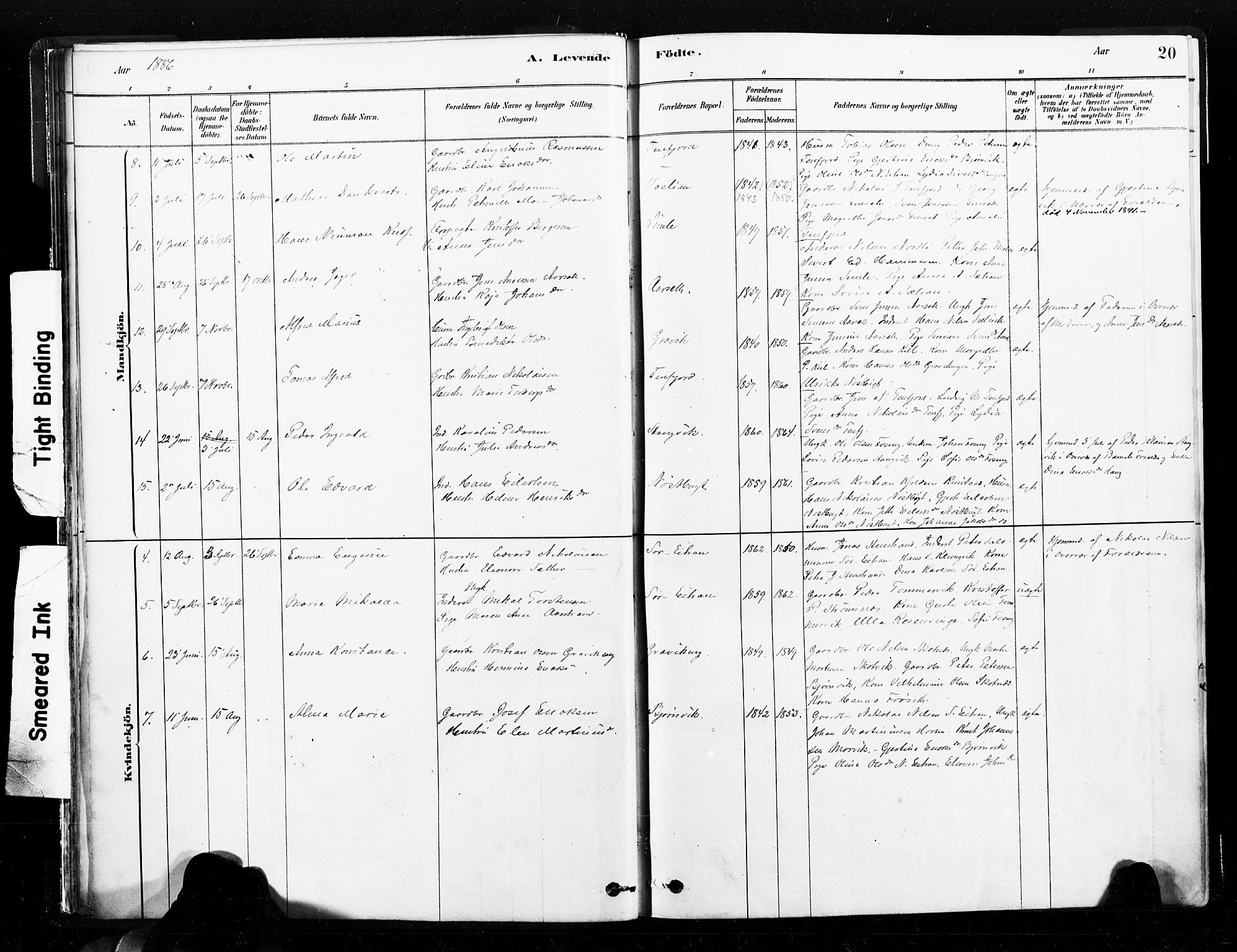 Ministerialprotokoller, klokkerbøker og fødselsregistre - Nord-Trøndelag, SAT/A-1458/789/L0705: Parish register (official) no. 789A01, 1878-1910, p. 20