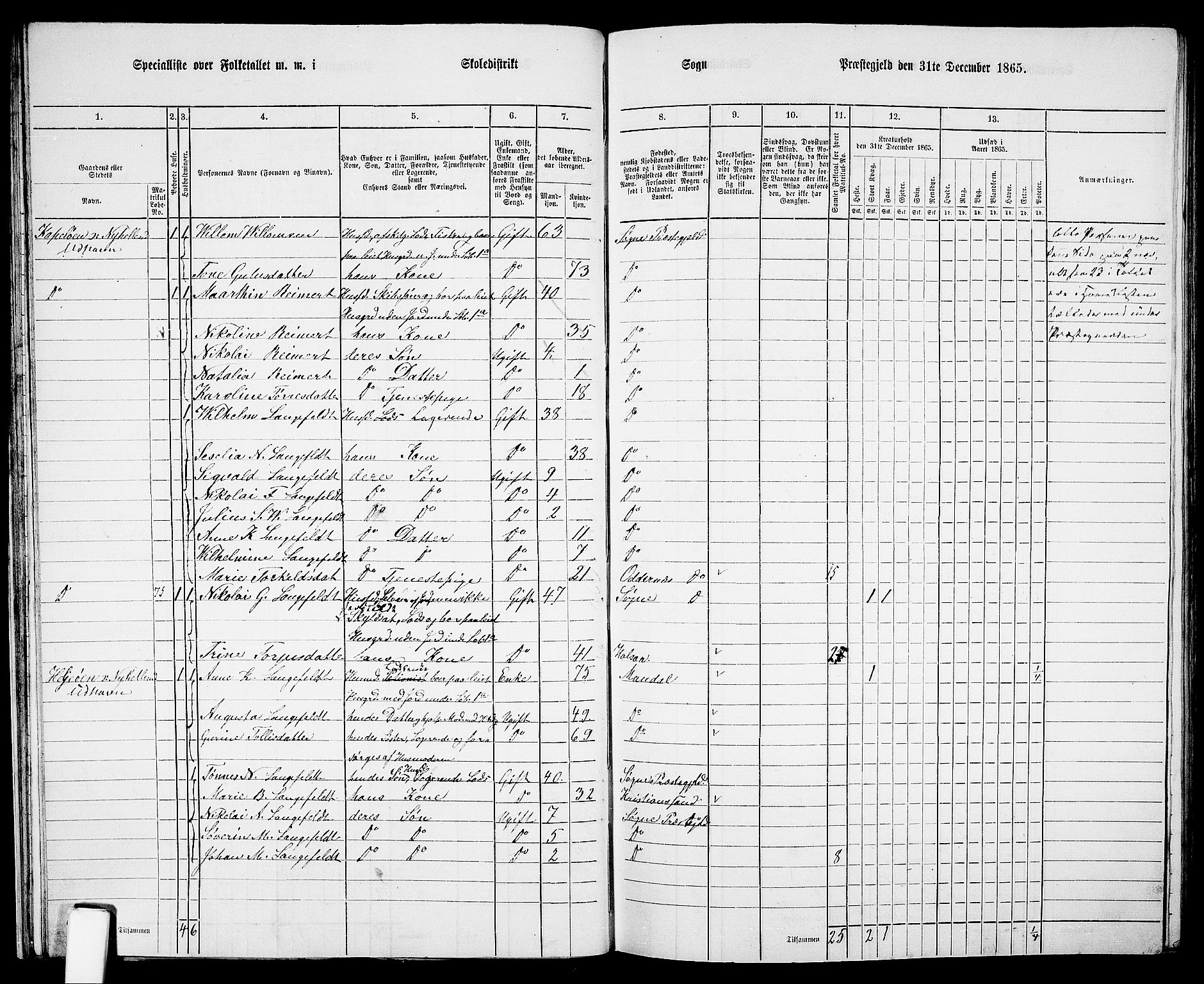 RA, 1865 census for Søgne, 1865, p. 42