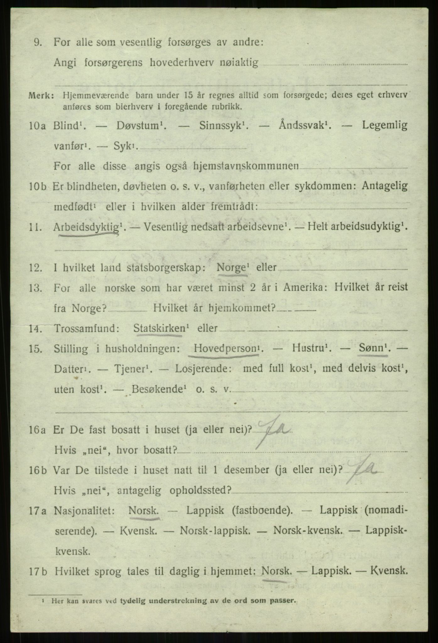 SATØ, 1920 census for Lenvik, 1920, p. 10939