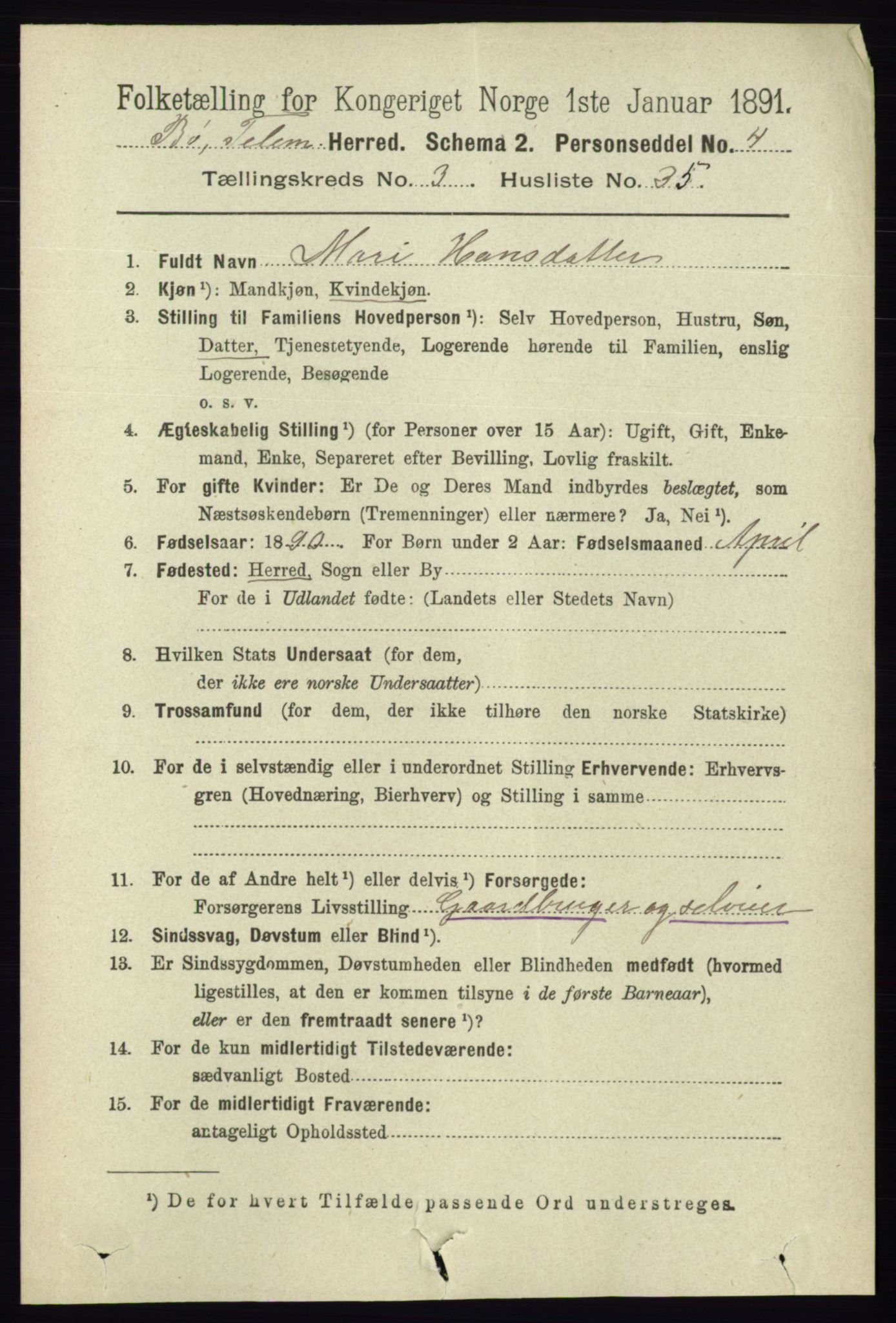 RA, 1891 census for 0821 Bø, 1891, p. 1195