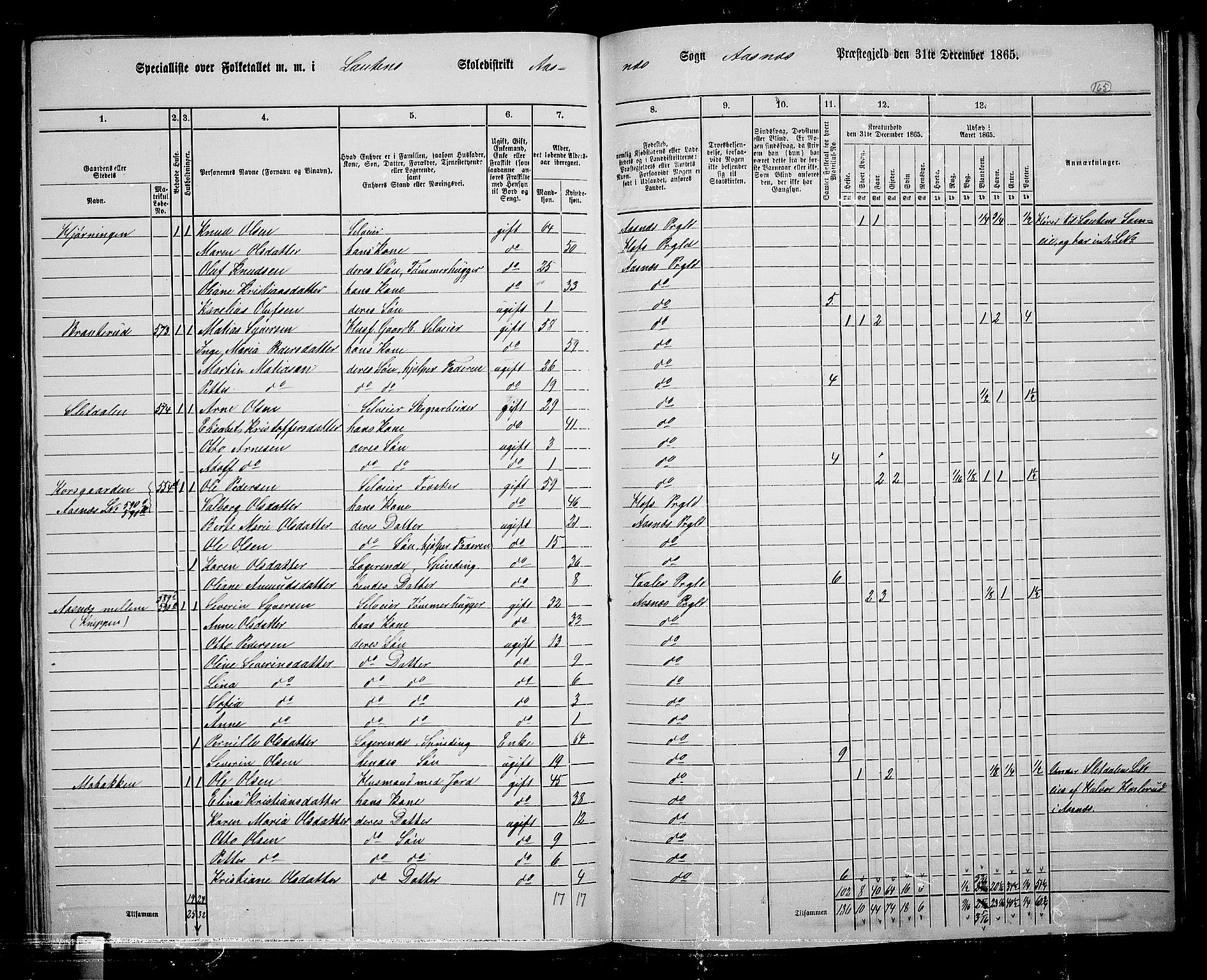 RA, 1865 census for Åsnes, 1865, p. 153