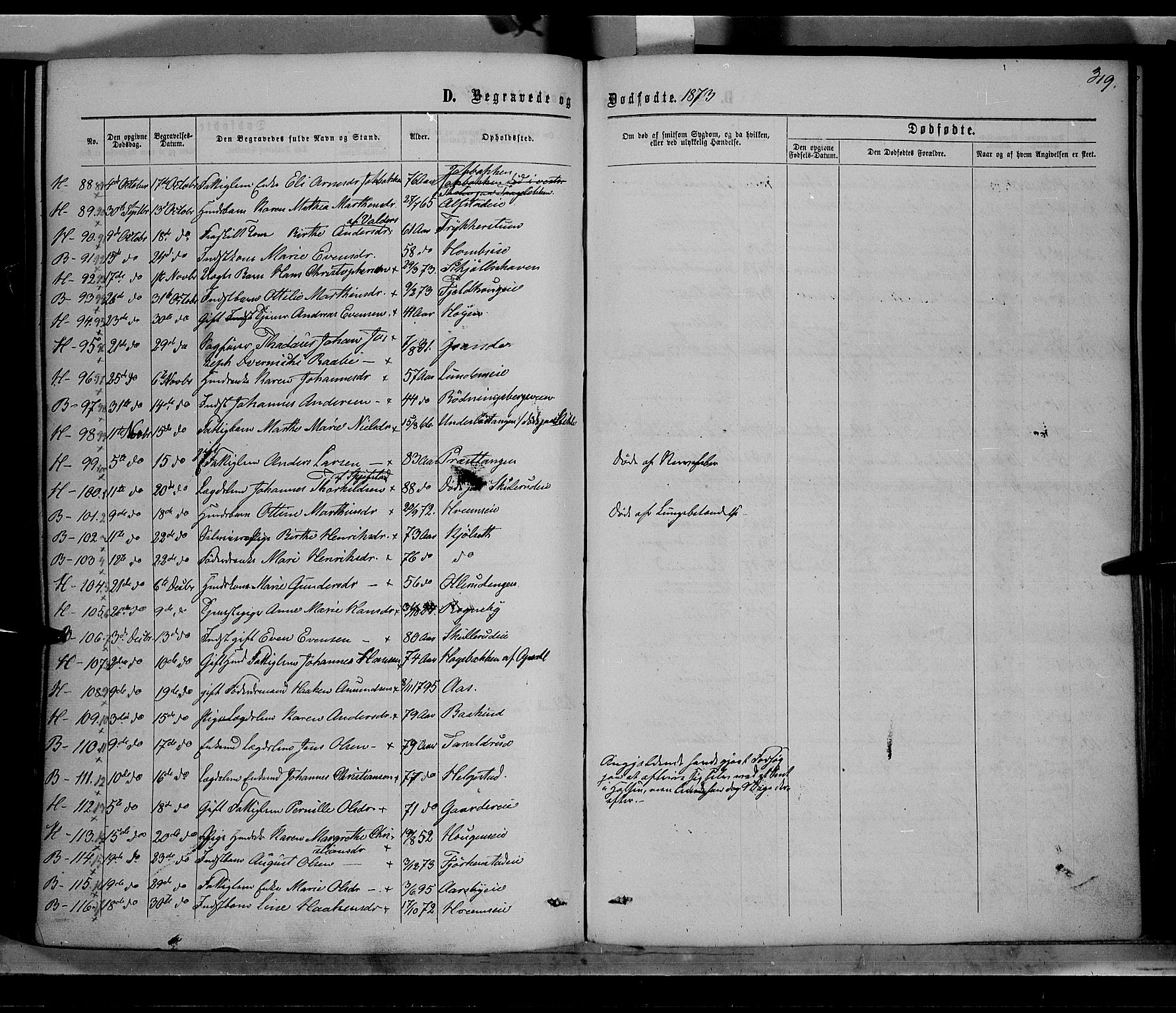 Østre Toten prestekontor, SAH/PREST-104/H/Ha/Haa/L0005: Parish register (official) no. 5, 1866-1877, p. 319