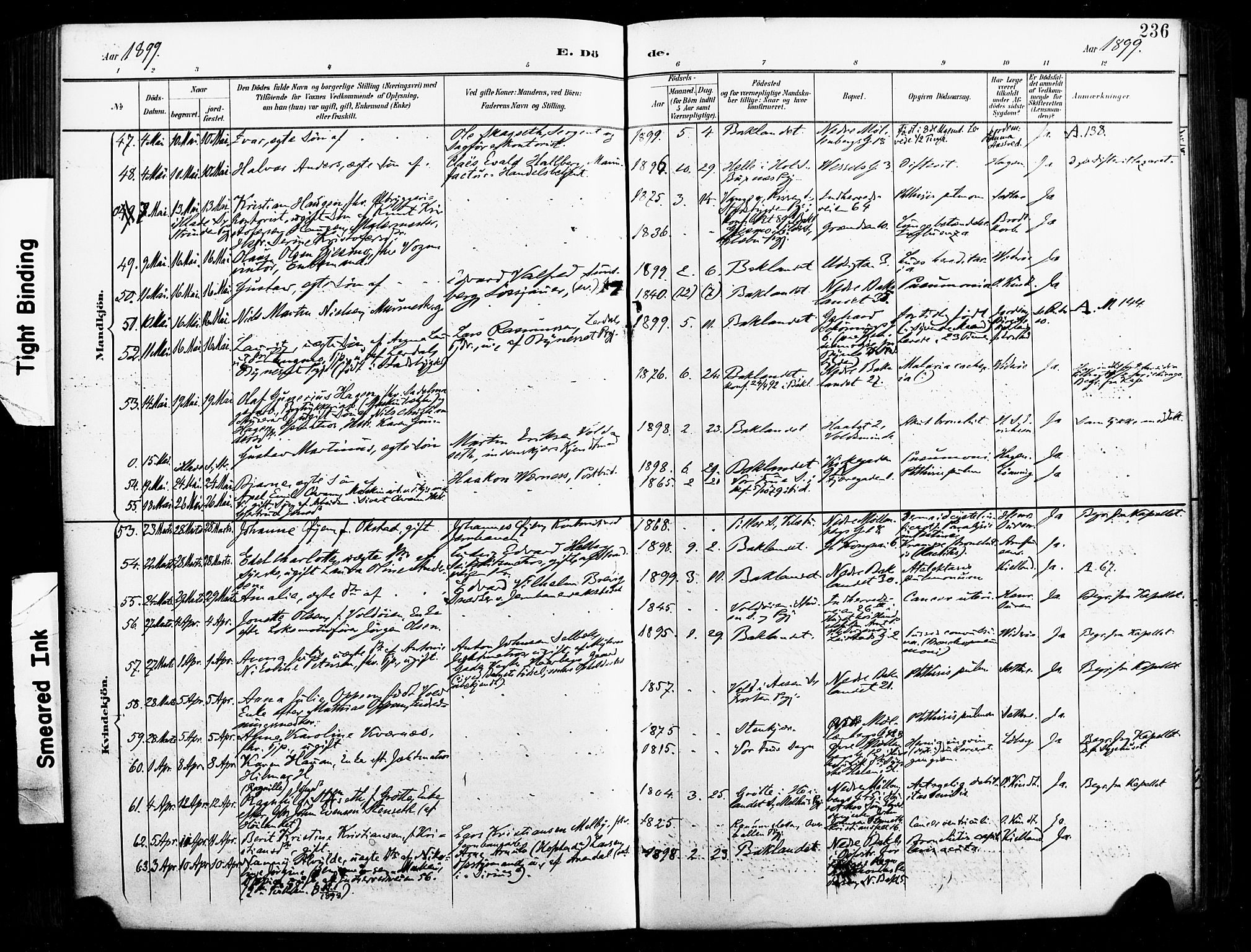 Ministerialprotokoller, klokkerbøker og fødselsregistre - Sør-Trøndelag, AV/SAT-A-1456/604/L0198: Parish register (official) no. 604A19, 1893-1900, p. 236