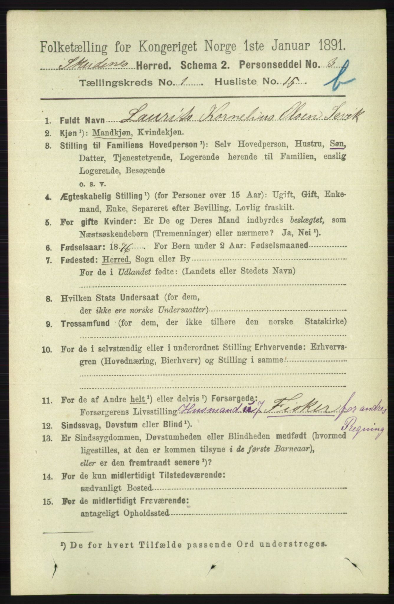 RA, 1891 census for 1150 Skudenes, 1891, p. 3484