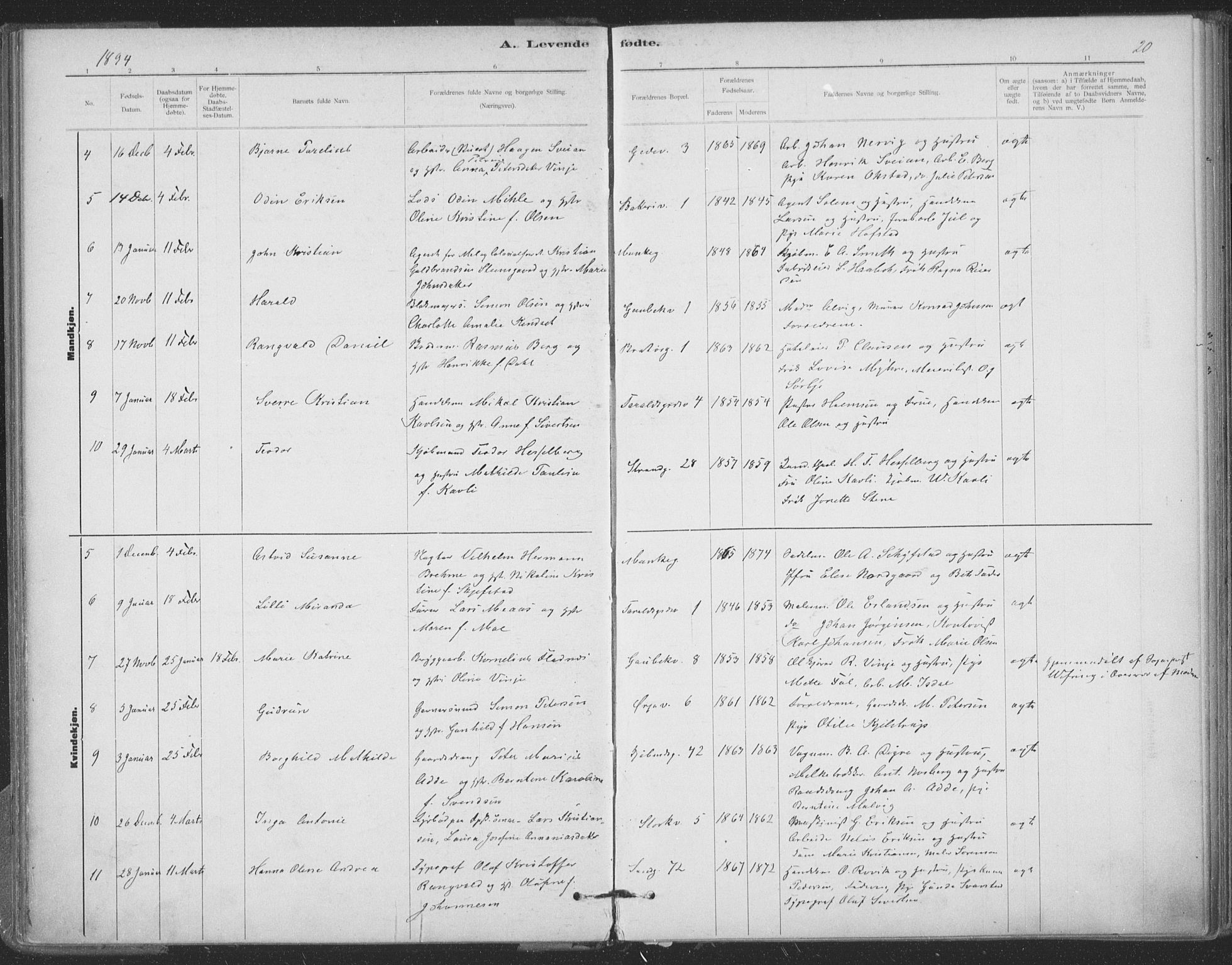 Ministerialprotokoller, klokkerbøker og fødselsregistre - Sør-Trøndelag, SAT/A-1456/602/L0122: Parish register (official) no. 602A20, 1892-1908, p. 20