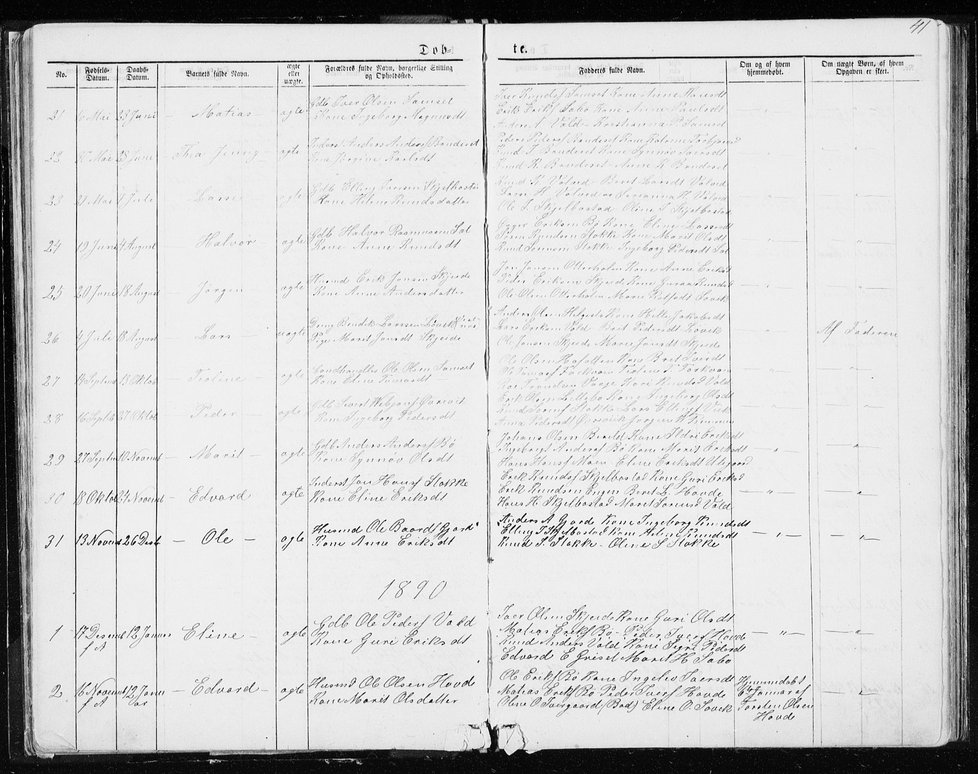 Ministerialprotokoller, klokkerbøker og fødselsregistre - Møre og Romsdal, AV/SAT-A-1454/543/L0564: Parish register (copy) no. 543C02, 1867-1915, p. 41