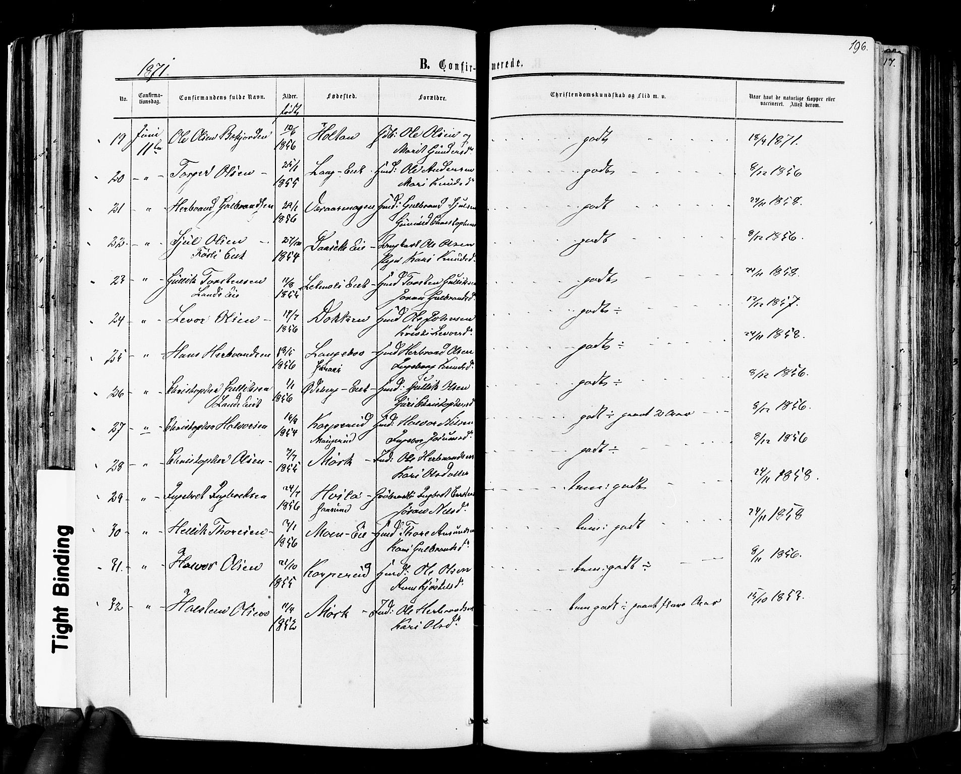 Flesberg kirkebøker, AV/SAKO-A-18/F/Fa/L0007: Parish register (official) no. I 7, 1861-1878, p. 196