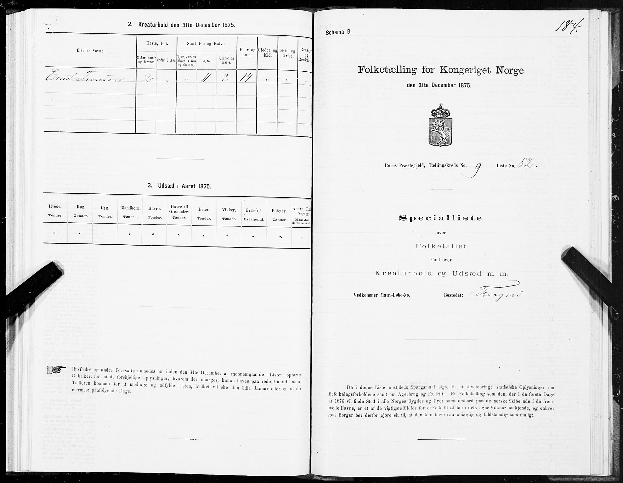 SAT, 1875 census for 1640P Røros, 1875, p. 5184