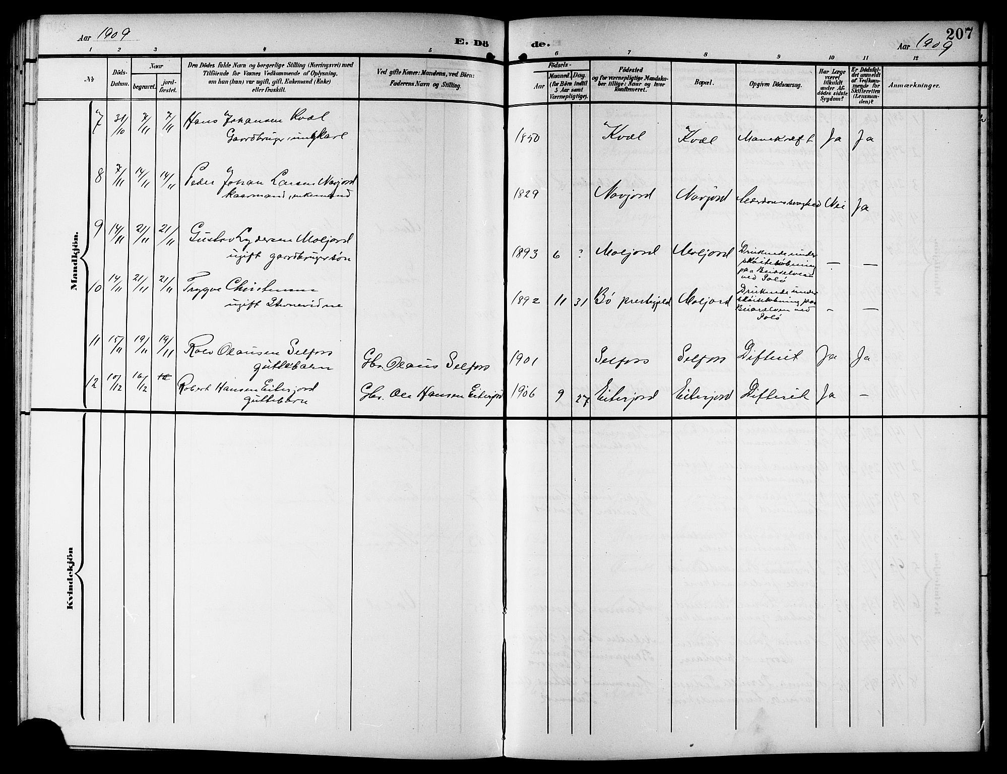Ministerialprotokoller, klokkerbøker og fødselsregistre - Nordland, SAT/A-1459/846/L0655: Parish register (copy) no. 846C05, 1902-1916, p. 207