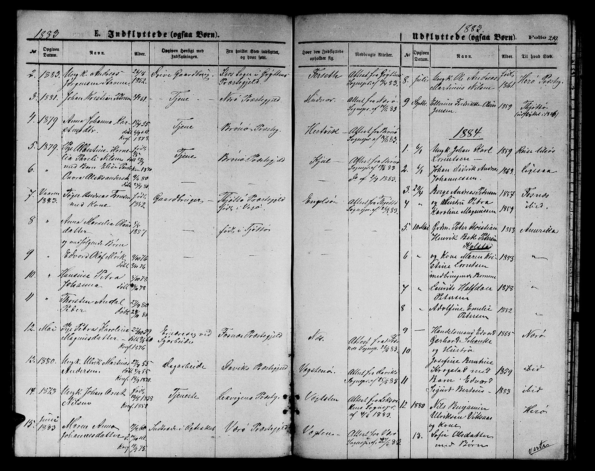 Ministerialprotokoller, klokkerbøker og fødselsregistre - Nordland, AV/SAT-A-1459/816/L0252: Parish register (copy) no. 816C02, 1871-1885, p. 219