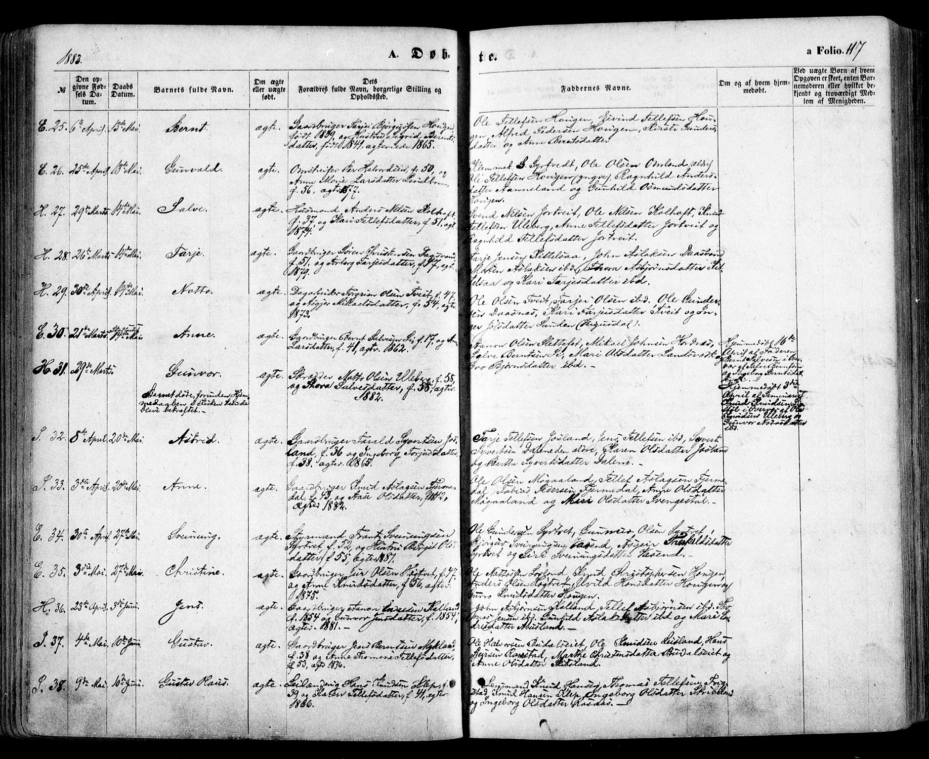 Evje sokneprestkontor, AV/SAK-1111-0008/F/Fa/Faa/L0006: Parish register (official) no. A 6, 1866-1884, p. 117
