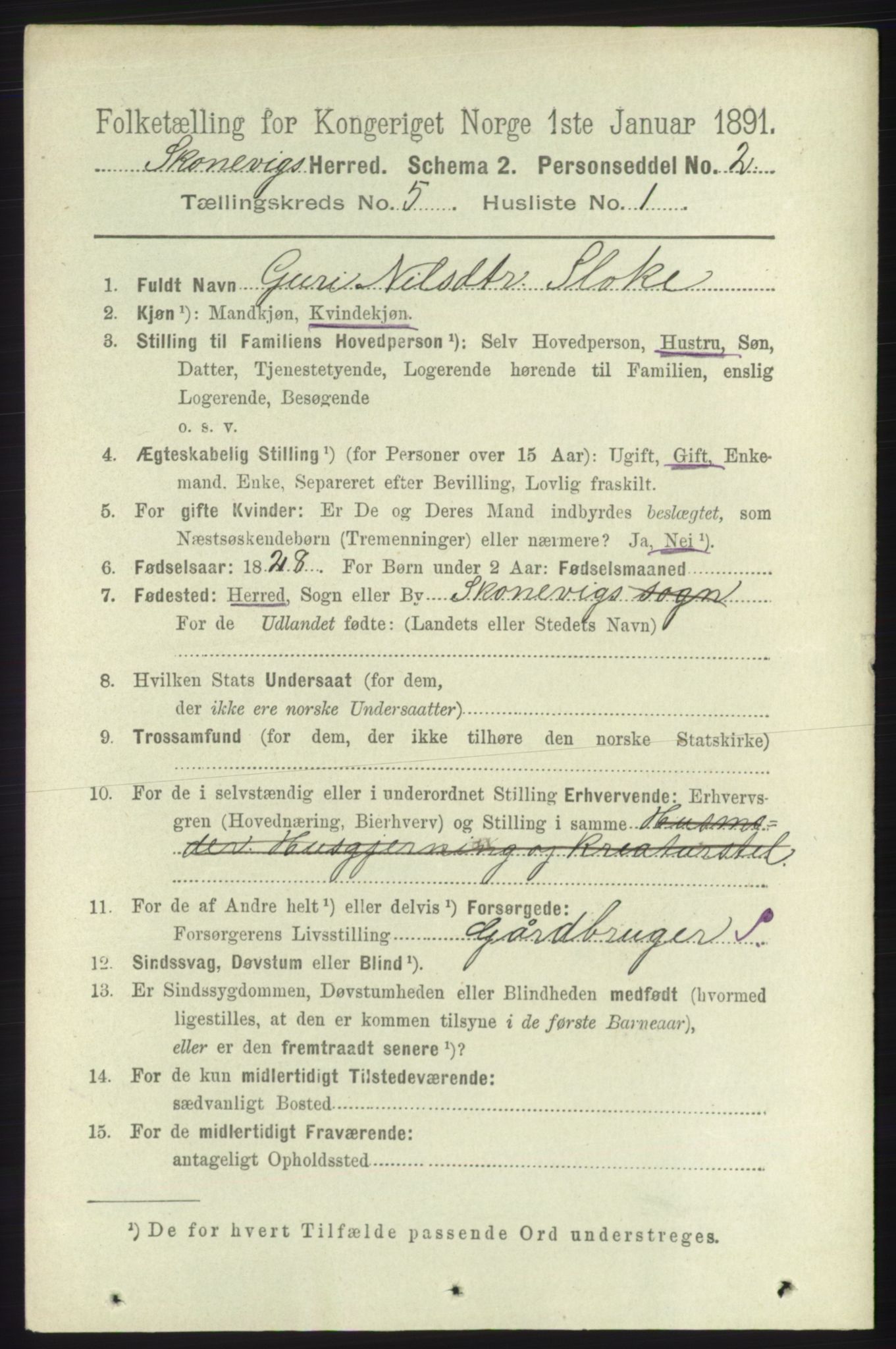 RA, 1891 census for 1212 Skånevik, 1891, p. 1262