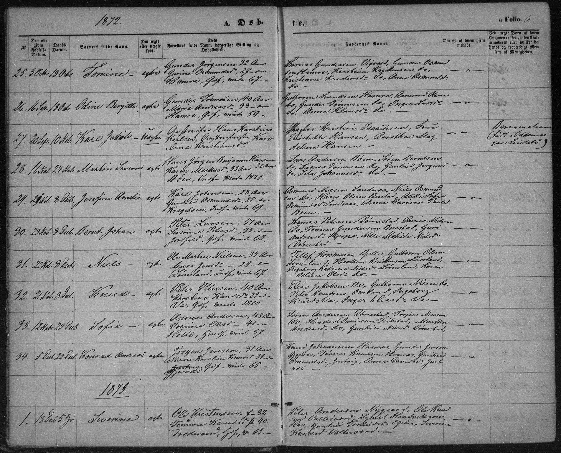 Tveit sokneprestkontor, SAK/1111-0043/F/Fa/L0006: Parish register (official) no. A 6, 1872-1886, p. 6