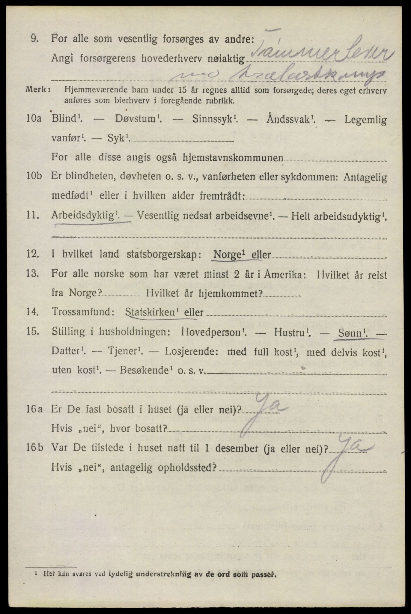 SAO, 1920 census for Glemmen, 1920, p. 4058