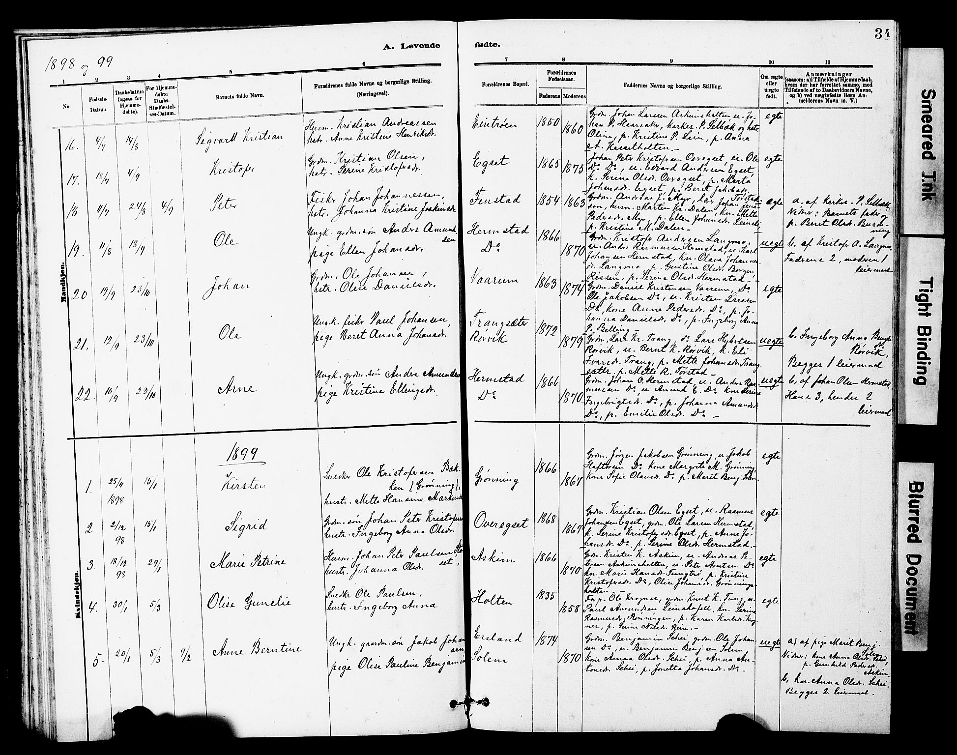 Ministerialprotokoller, klokkerbøker og fødselsregistre - Sør-Trøndelag, SAT/A-1456/646/L0628: Parish register (copy) no. 646C01, 1880-1903, p. 34